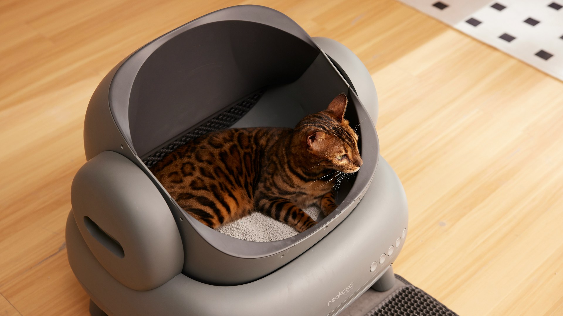 Cat sitting inside an automated self-cleaning smart litter box