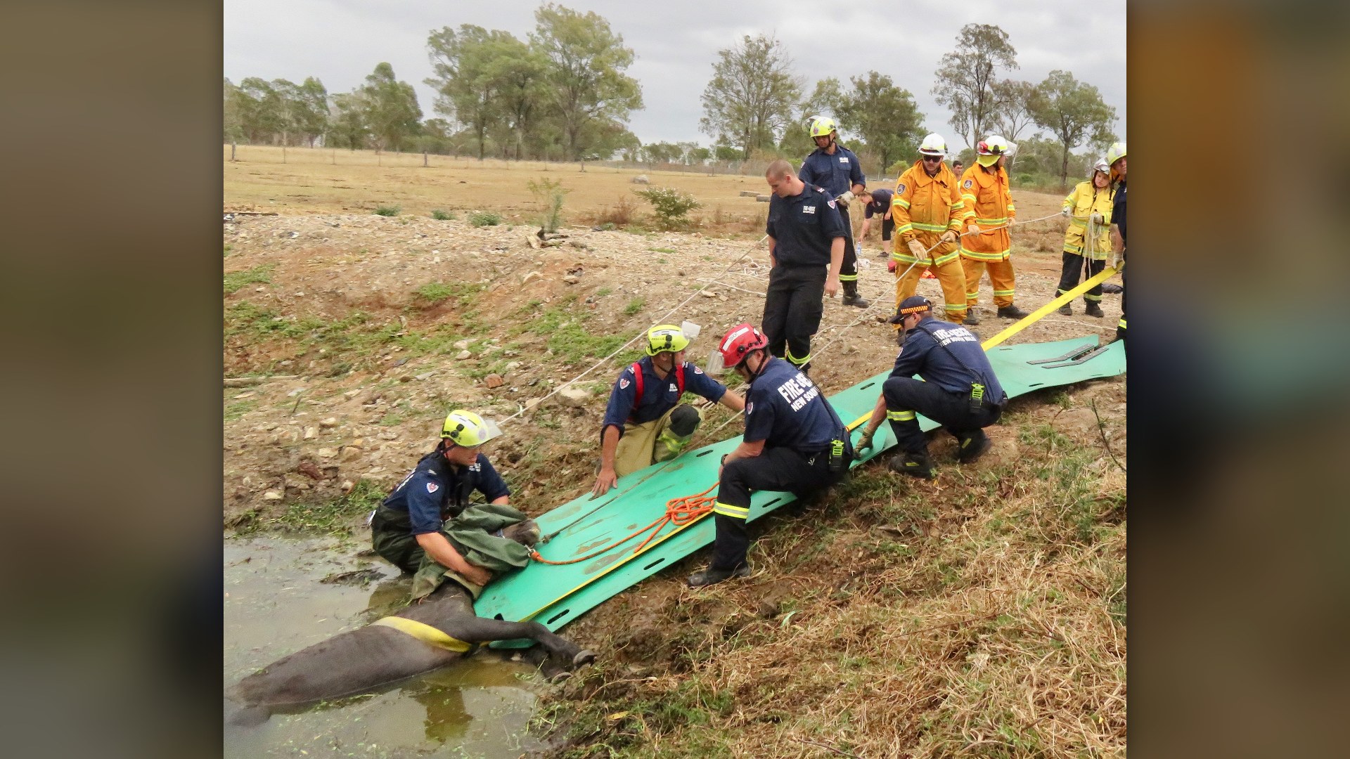 7. Astro's Tidal Mud Rescue (2012)