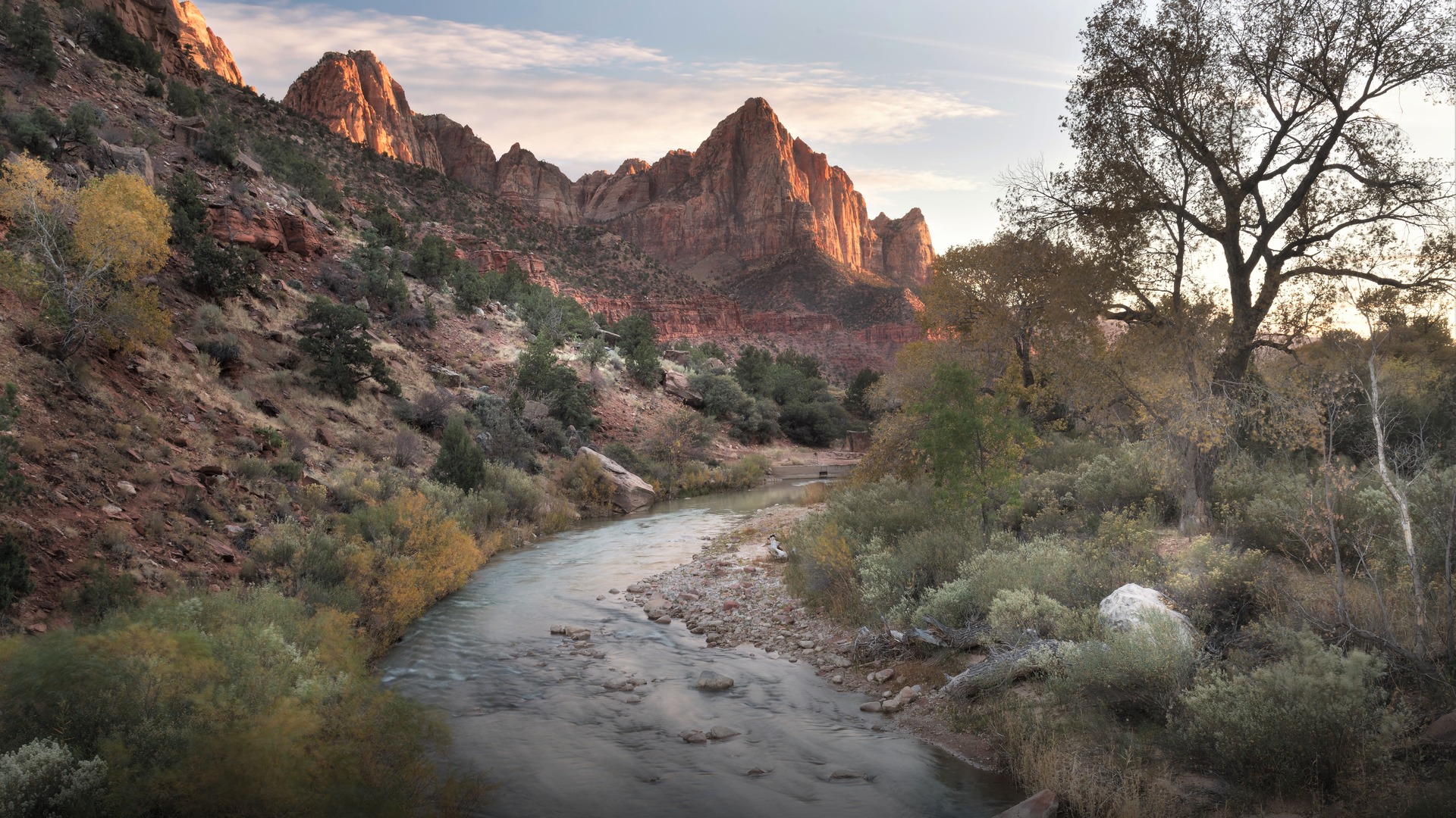 The majestic sandstone peak of The Watchman towering above the calm Virgin River in Zion National Park, Utah, during golden evening light.
