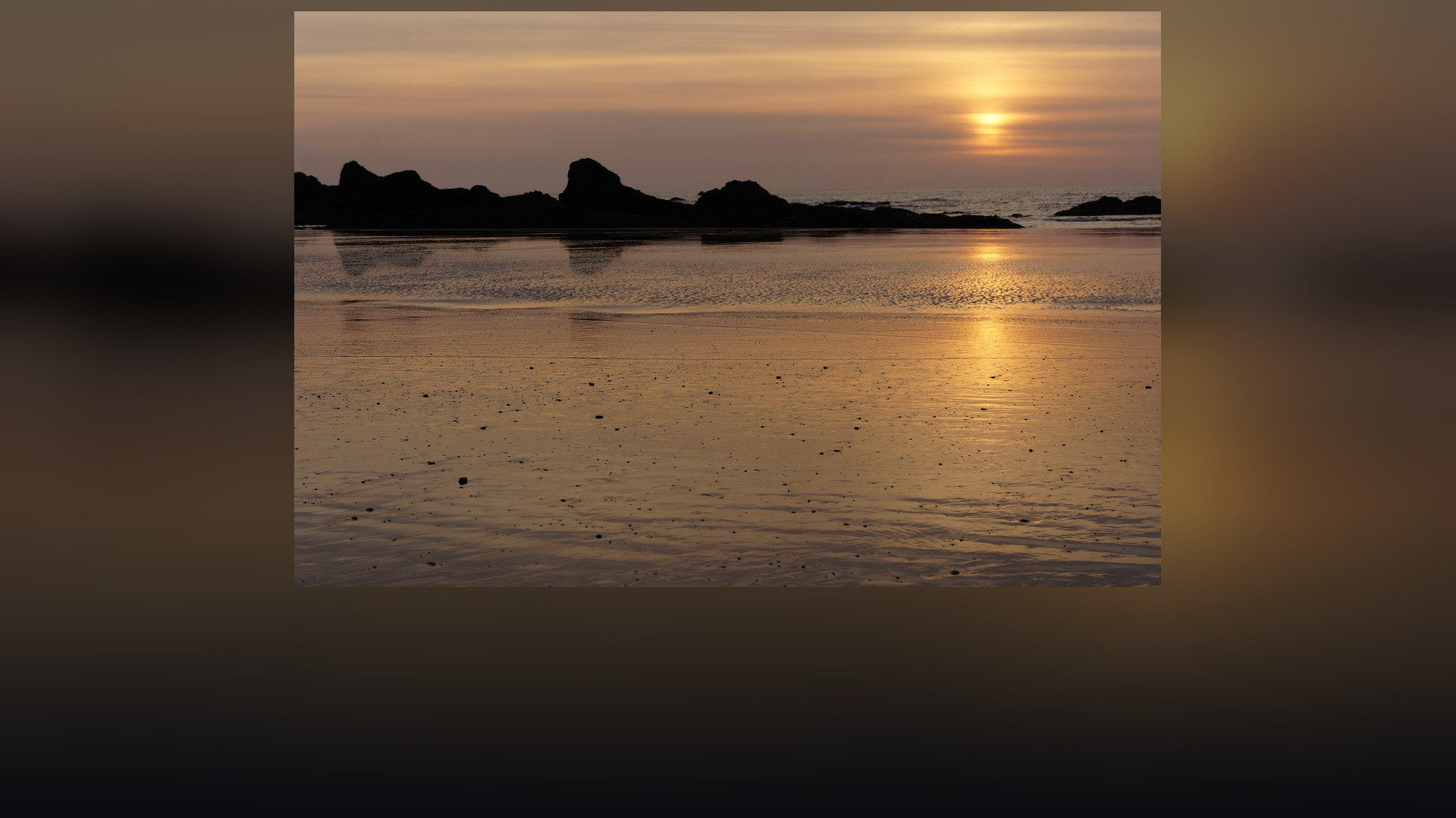 Panoramic landscape vista of Olympic National Park showing natural geological formations, terrain, and wilderness.