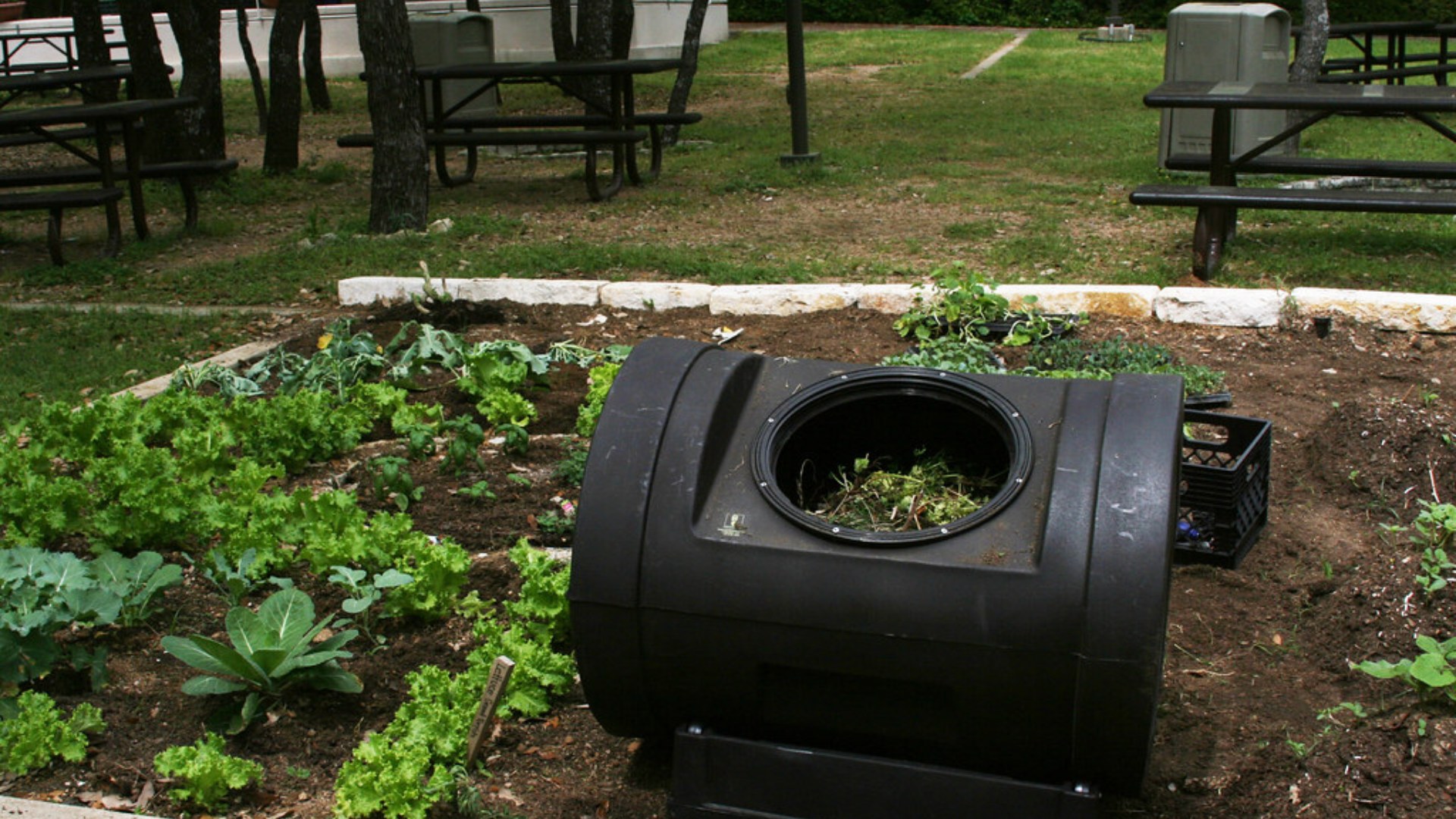 3. Compost Your Scraps