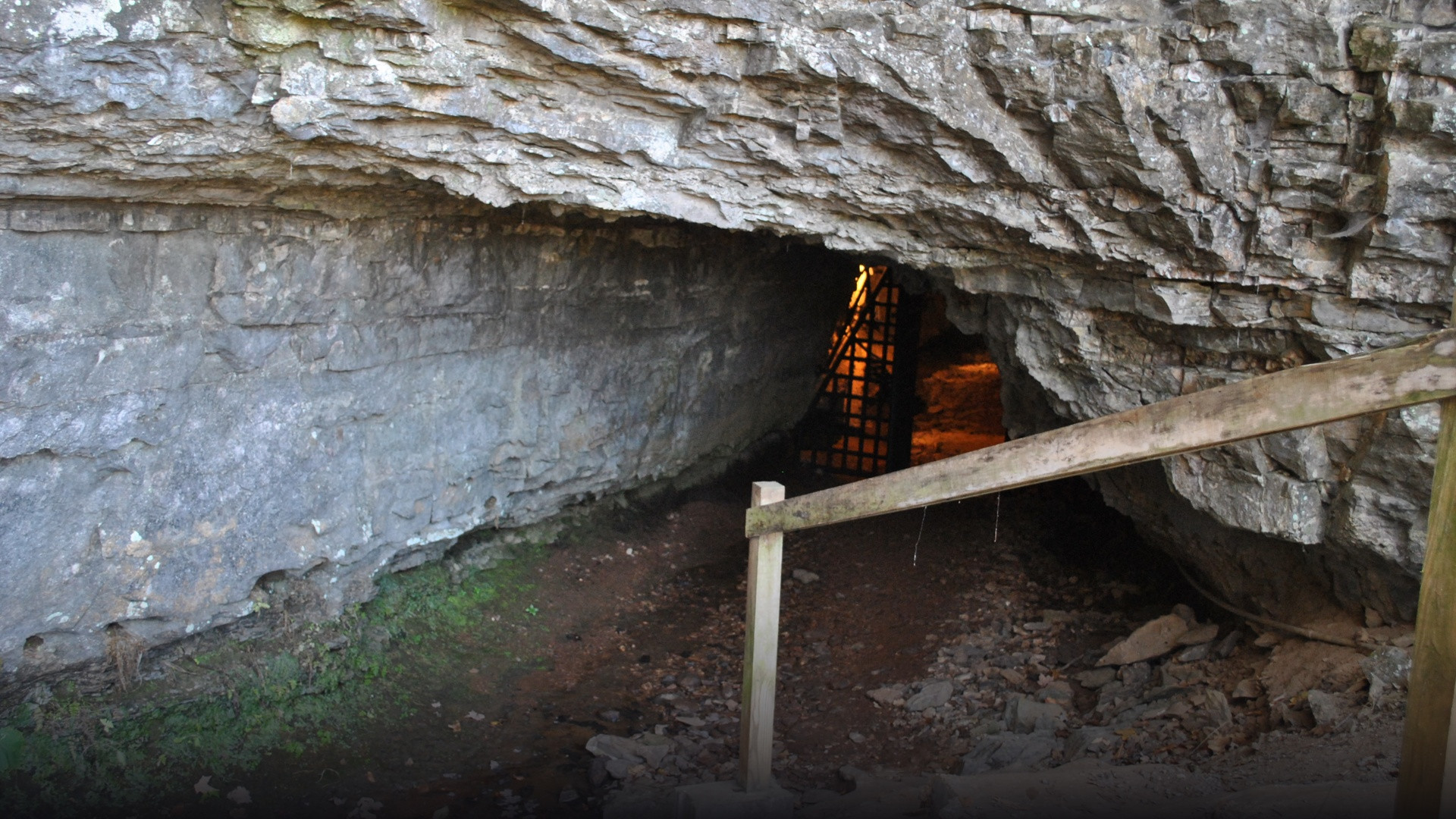 Natural rock archway and dark mouth of the limestone Bell Witch Cave nestled in a wooded hillside in Adams, Tennessee.