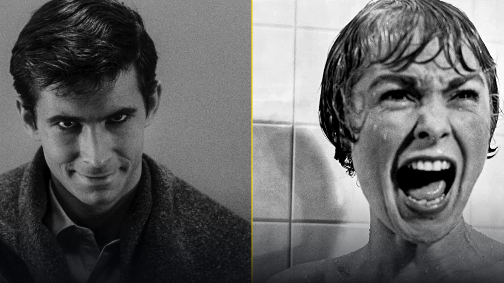 50/50 face-off split featuring Anthony Perkins as Norman Bates with a chilling smile on the left and Janet Leigh as Marion Crane screaming in the shower on the right.