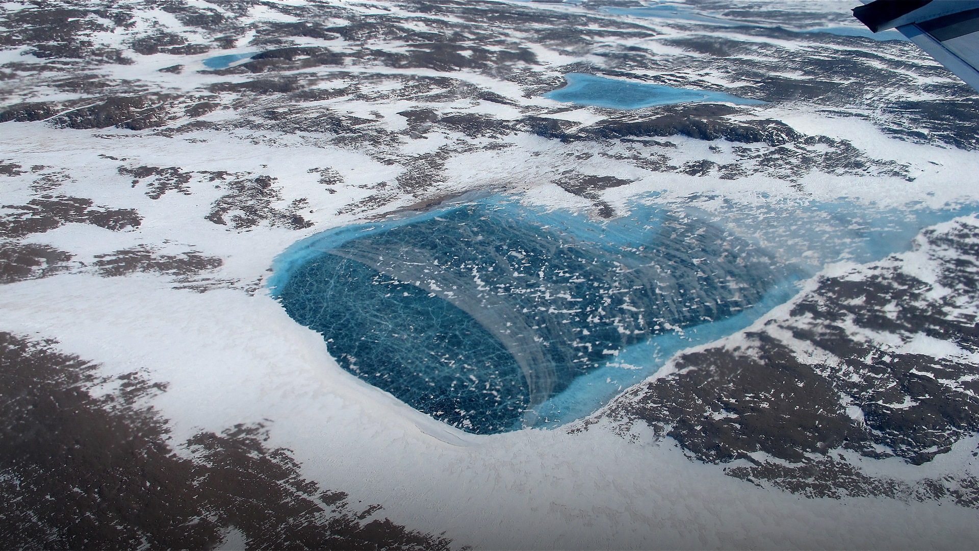 Vivid sapphire blue supraglacial melt ponds forming atop the bright white expanse of the Greenland ice sheet.