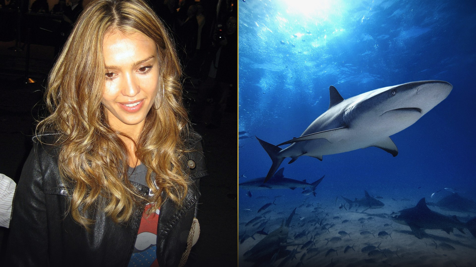 Actress Jessica Alba in a golden evening gown alongside Caribbean reef and tiger sharks at Tiger Beach, Bahamas.