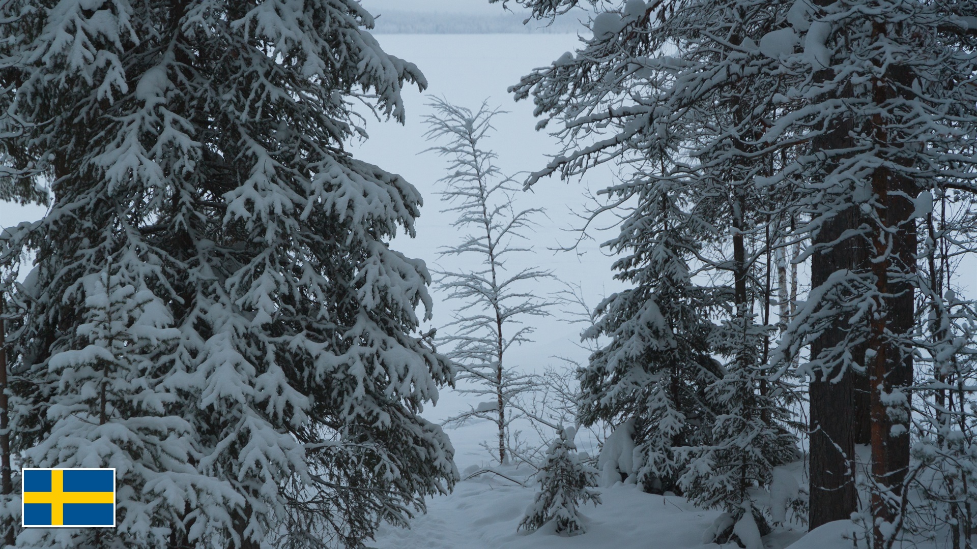 19. Vuoggatjalme, Swedish Lapland, Sweden (-52.6°C / -62.7°F)