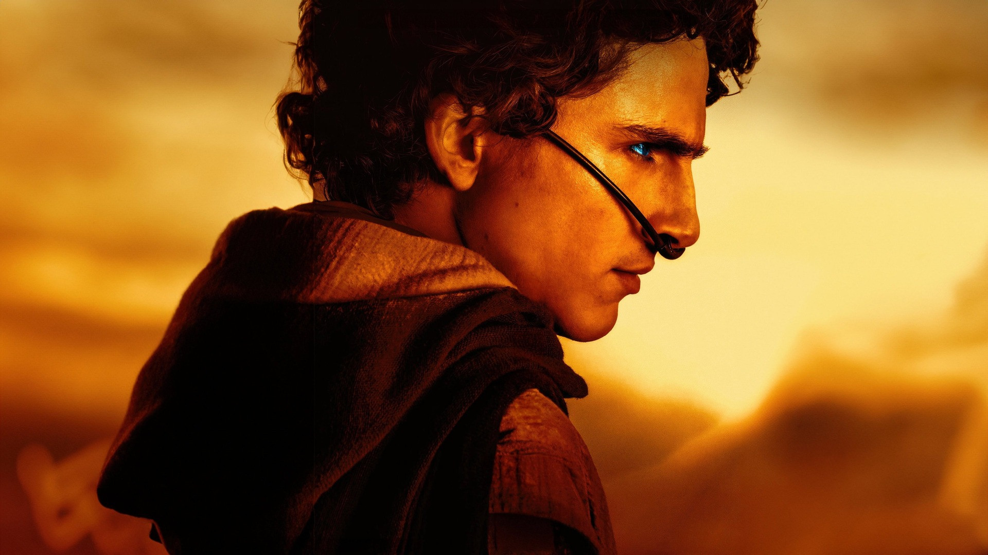Close-up profile of Timothee Chalamet as Paul Atreides with glowing blue eyes and stillsuit under golden desert light.