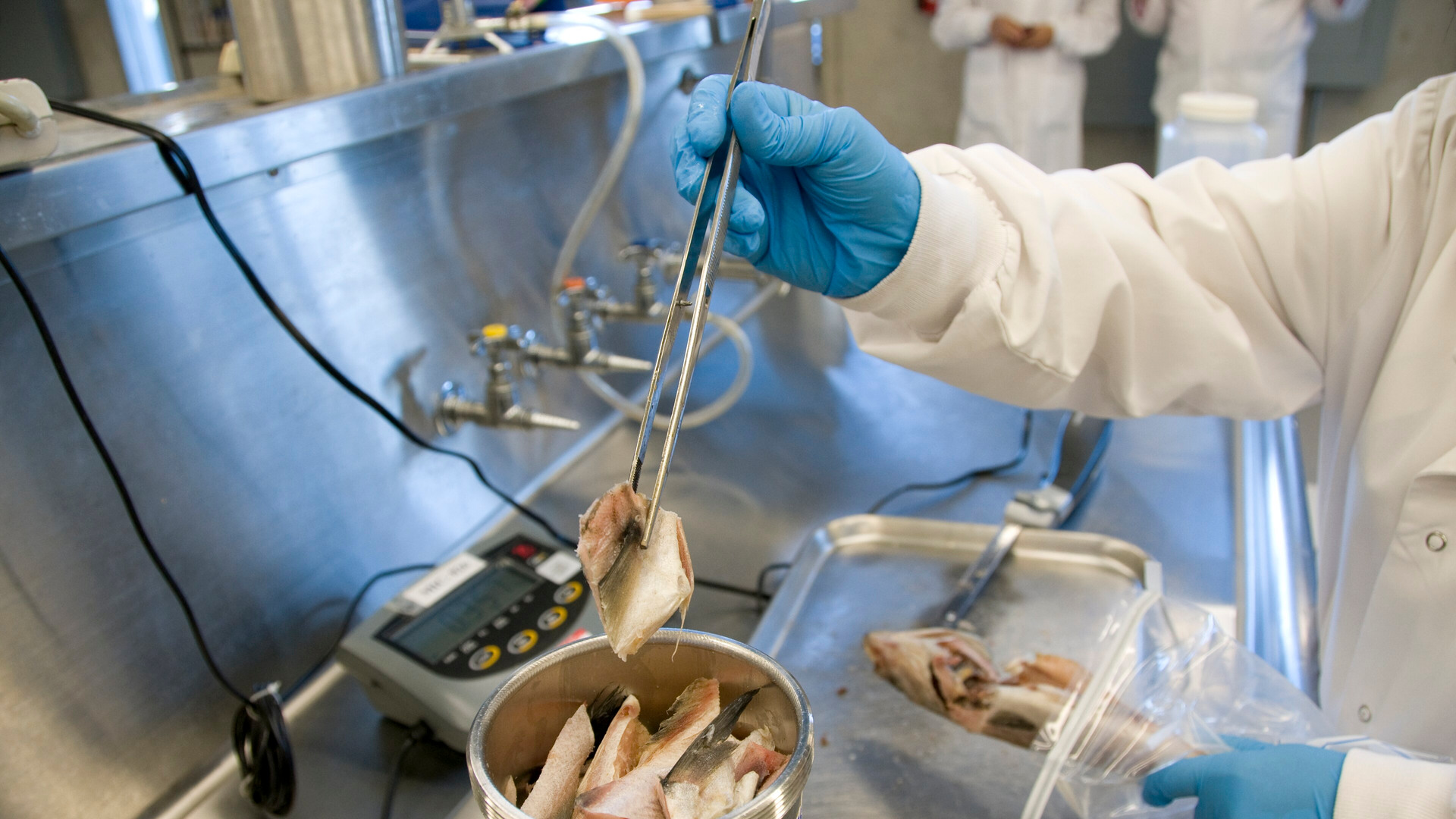 10 Signs It's Time to Throw Food Away