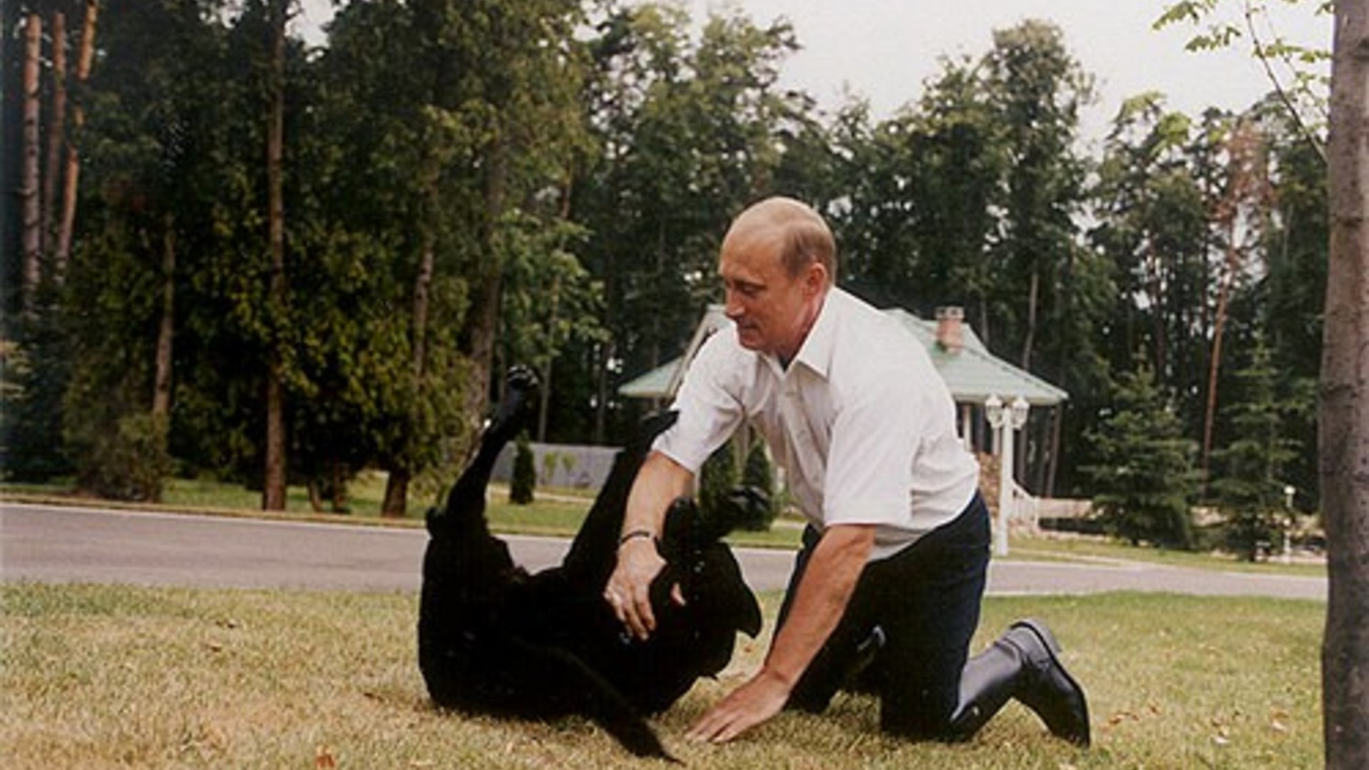 14. His Labrador Terrified Angela Merkel