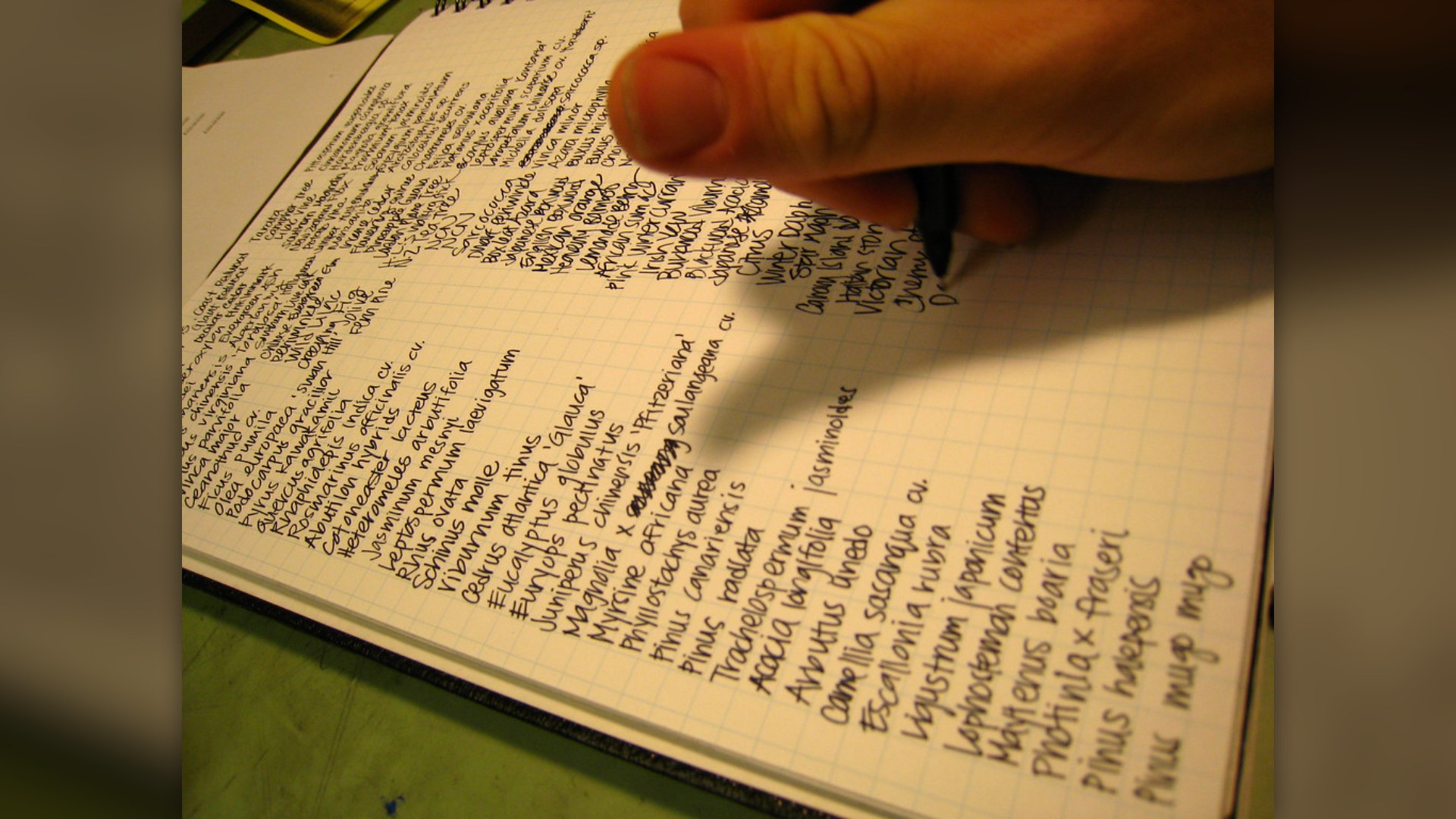 1. Learning A New Language -- The Proven No. 1 Dementia Delay