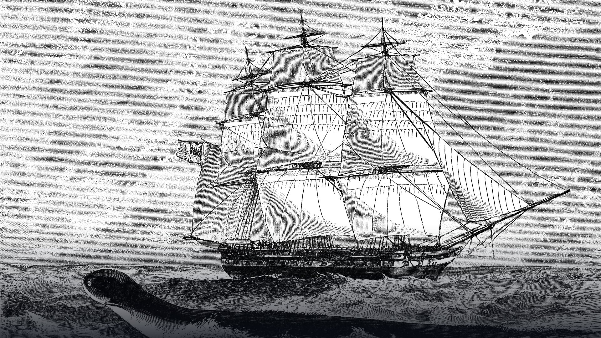 Historical 1848 Illustrated London News engraving of the sea serpent swimming past the corvette HMS Daedalus.