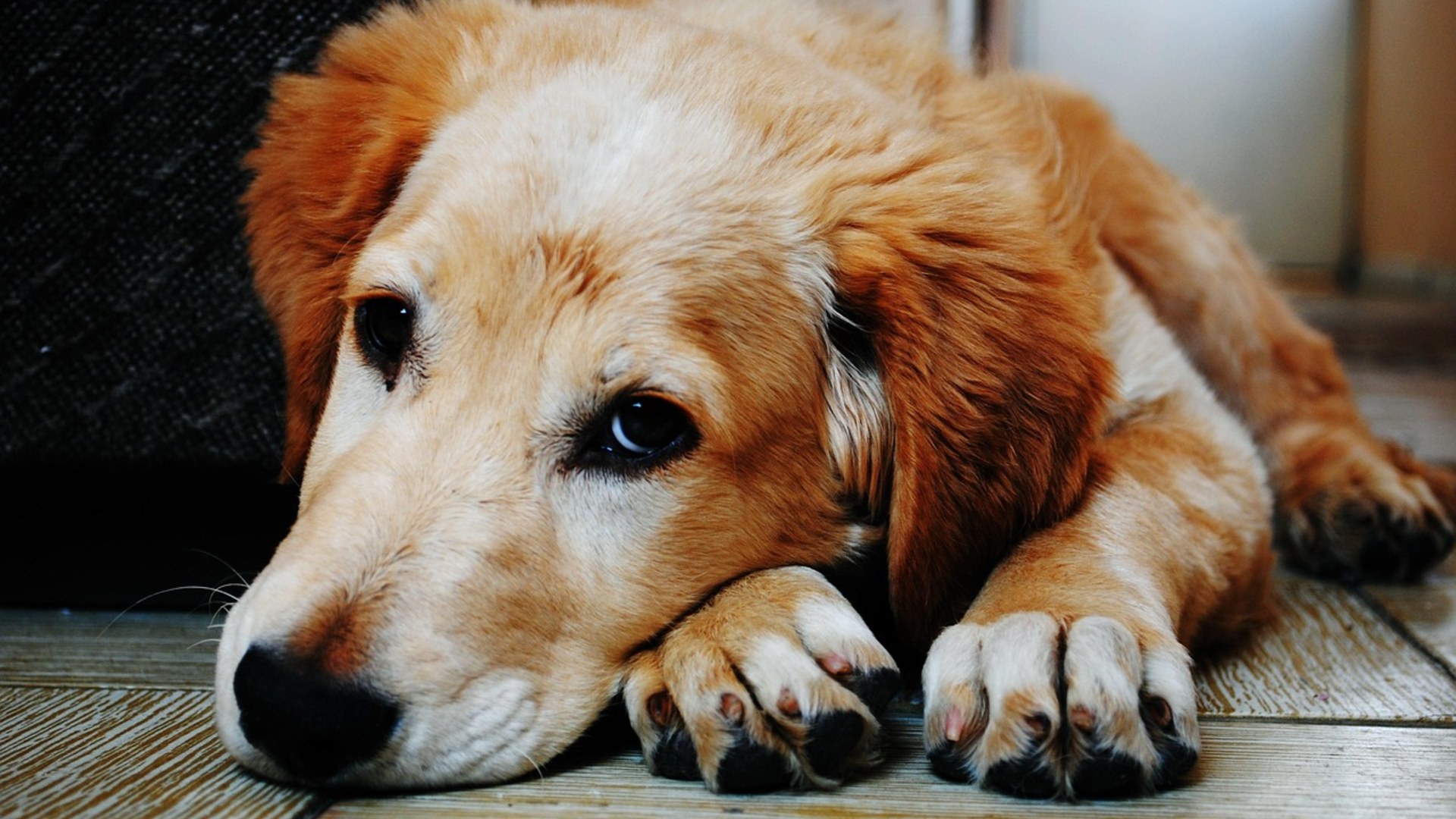 5. Chronic Vomiting & Nausea