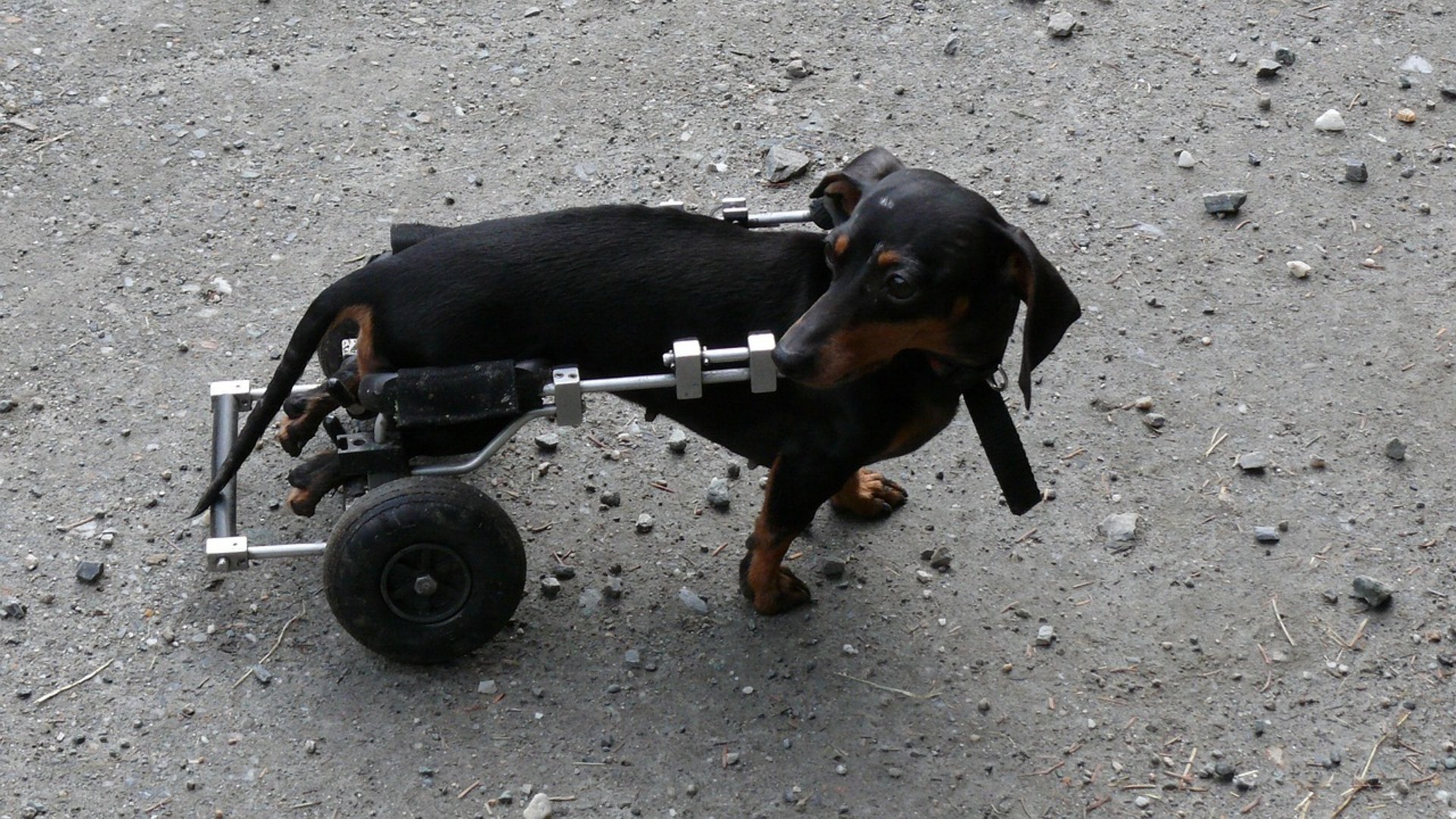 12. Adapt Your Home For Easy Mobility