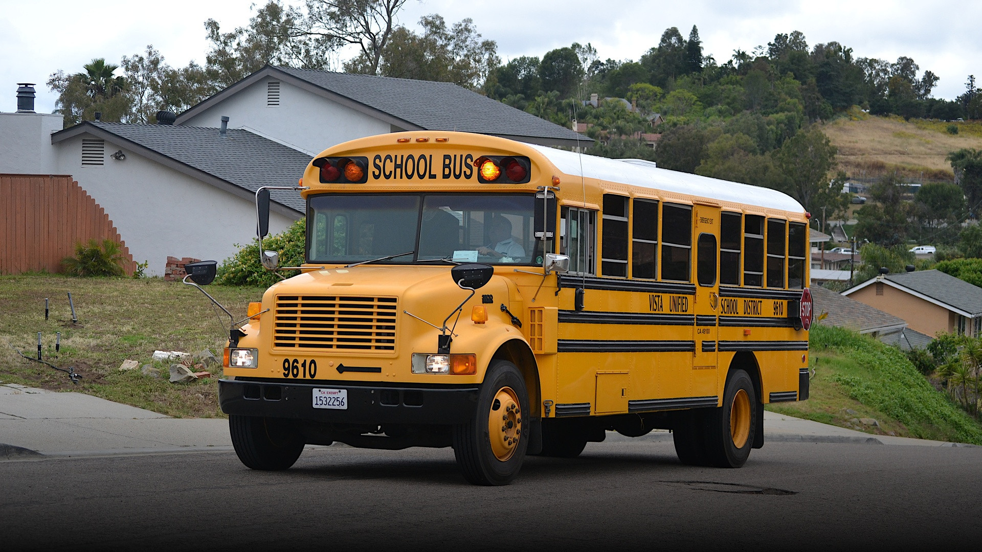 A classic yellow American school bus driving down a residential neighborhood street.
