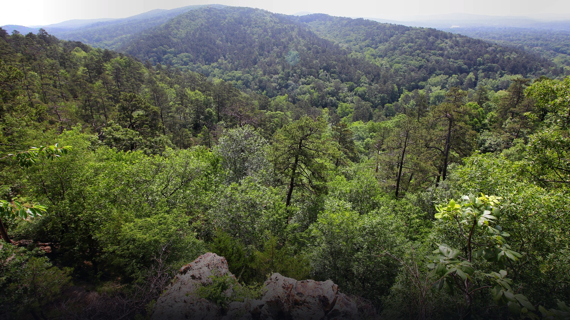 Panoramic scenic overlook from the Goat Rock rock ledge across the rolling, lush green forested ridges and mountain valleys of Hot Springs National Park.