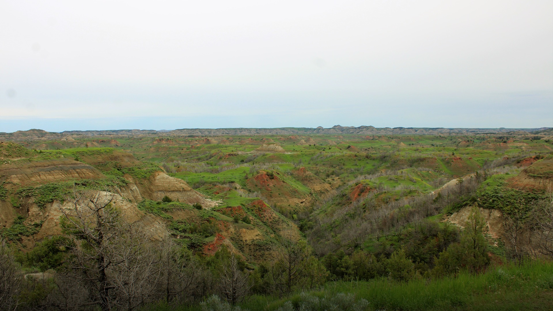 Scenic rugged landscape of Theodore Roosevelt National Park in North Dakota showing sculpted badlands ridges and prairie grasslands under a wide open sky.