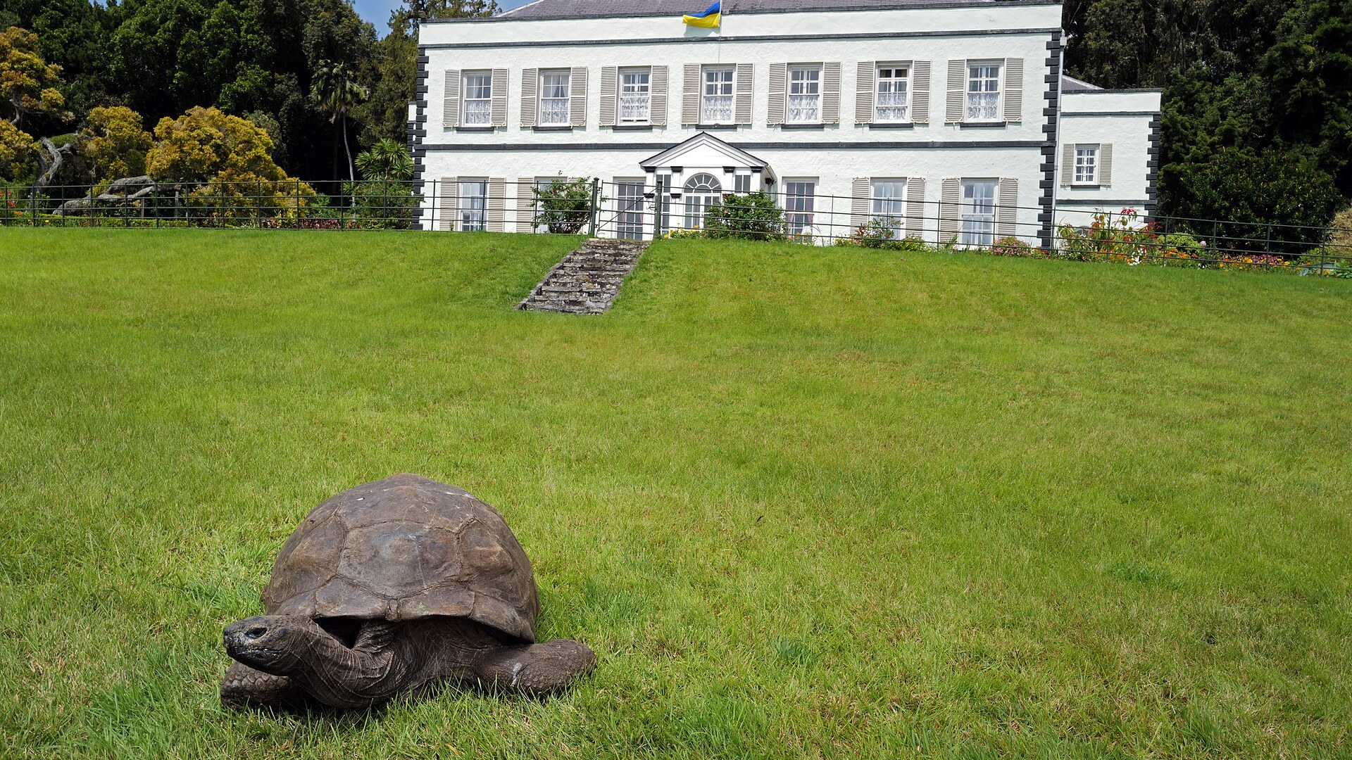 8. Jonathan The Tortoise
