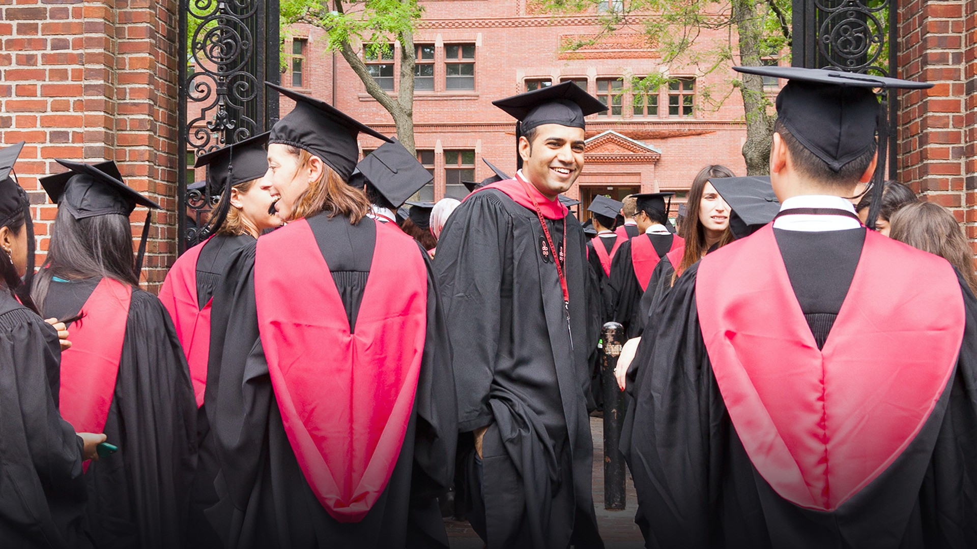 Harvard University graduates seated in Harvard Yard during a university commencement ceremony.