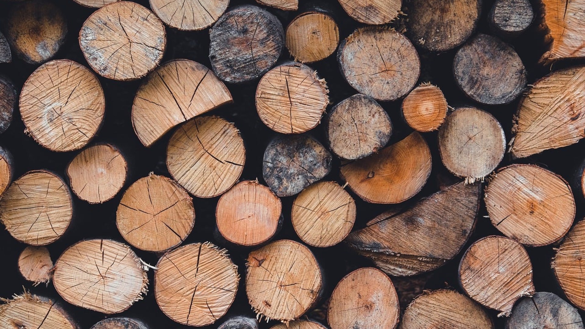 #6 Stacking Firewood & Inspecting Chimneys
