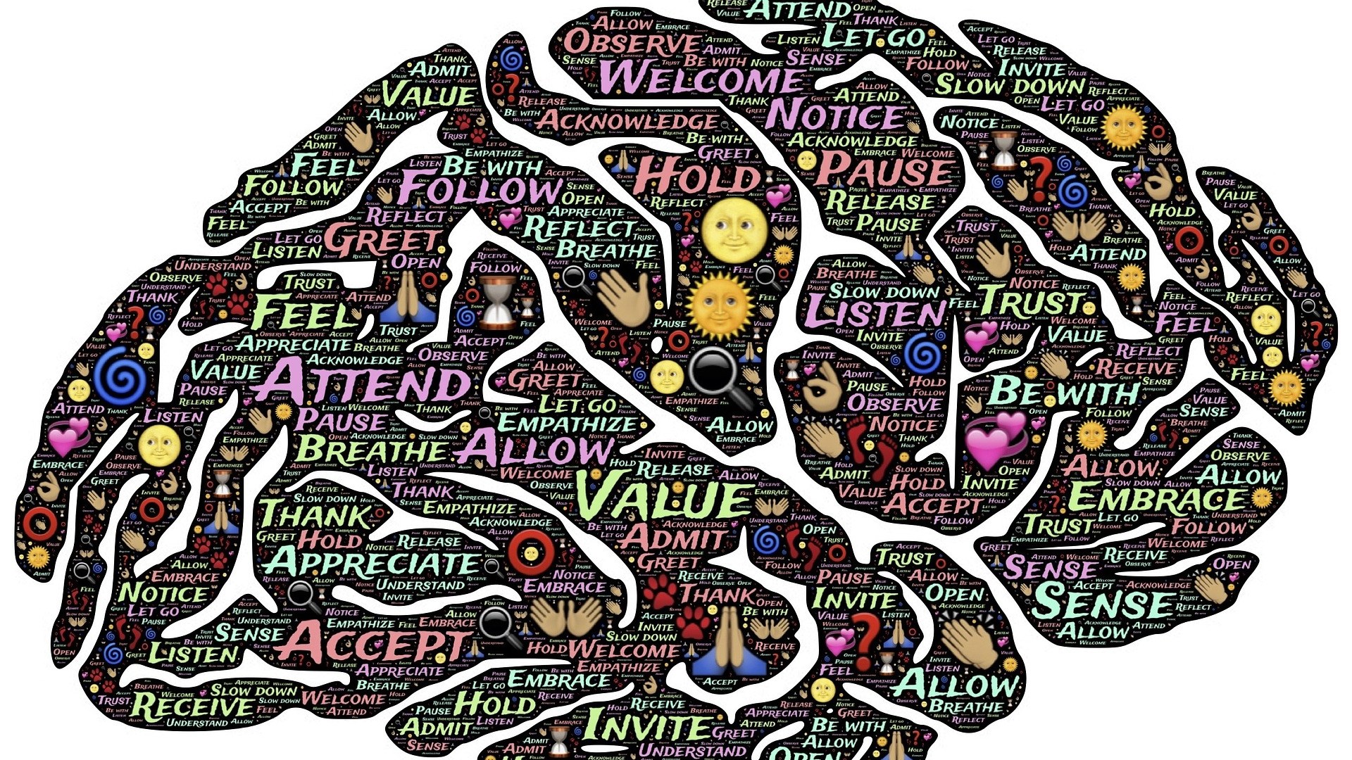 3. Meditation -- The Practice That Literally Thickens Your Cortex