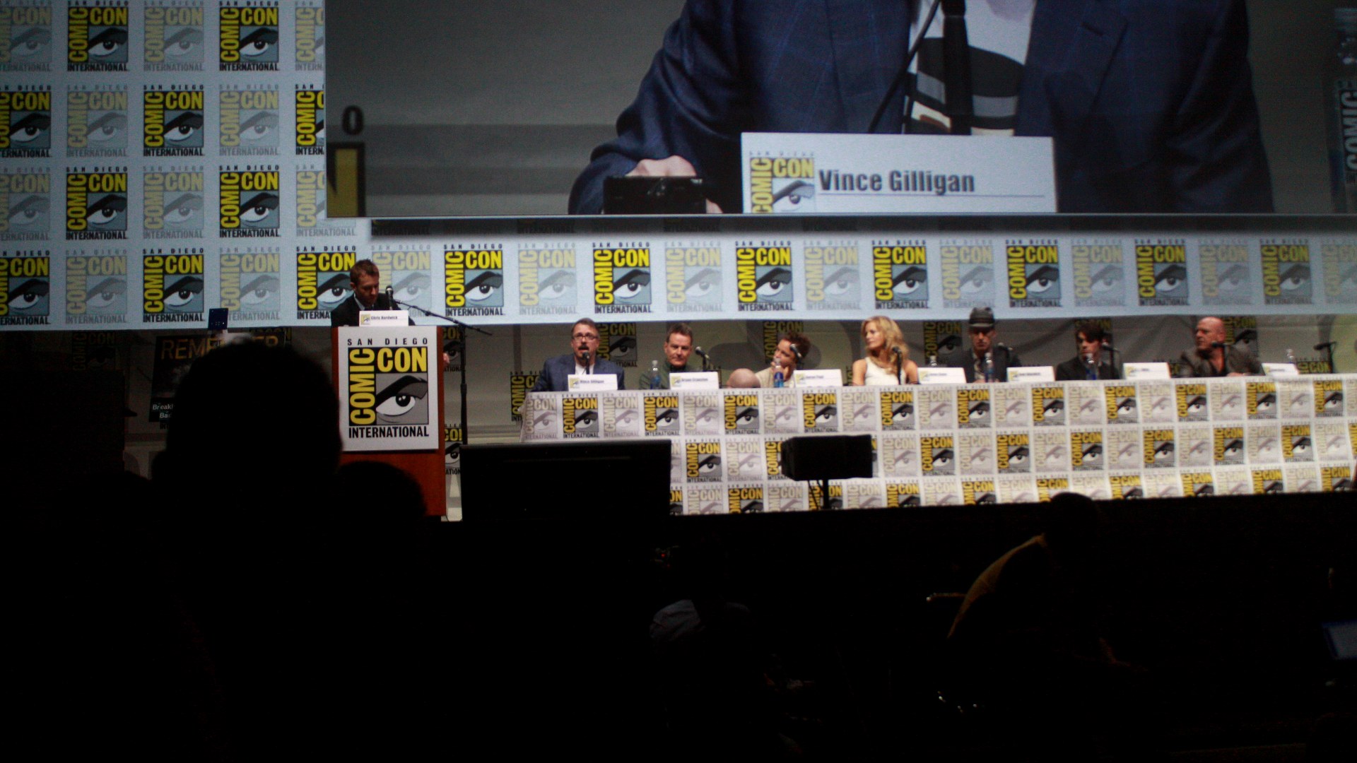 8. The Emotional 2013 Final Comic-Con Panel