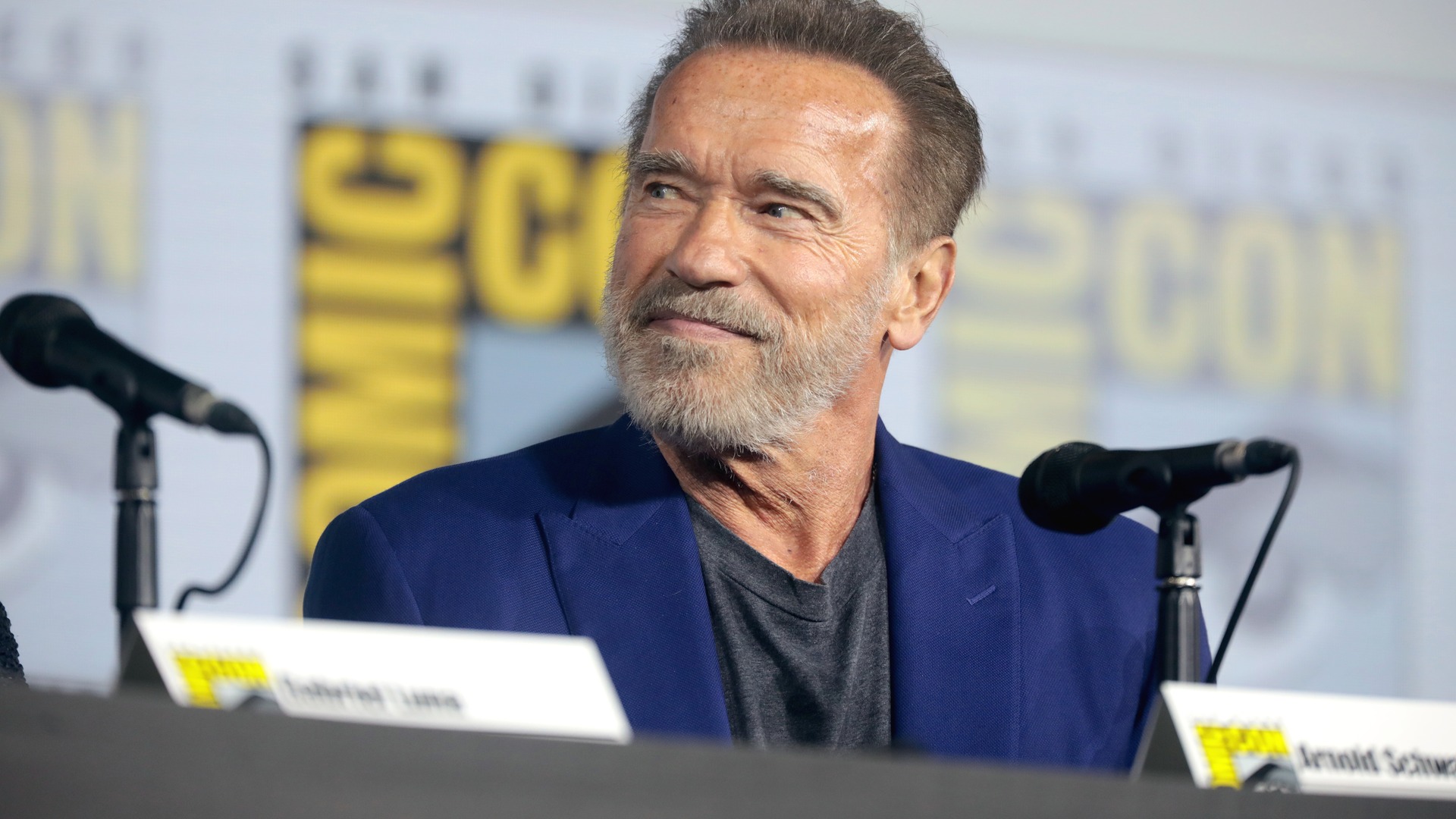 Action movie superstar Arnold Schwarzenegger speaking at San Diego Comic-Con.