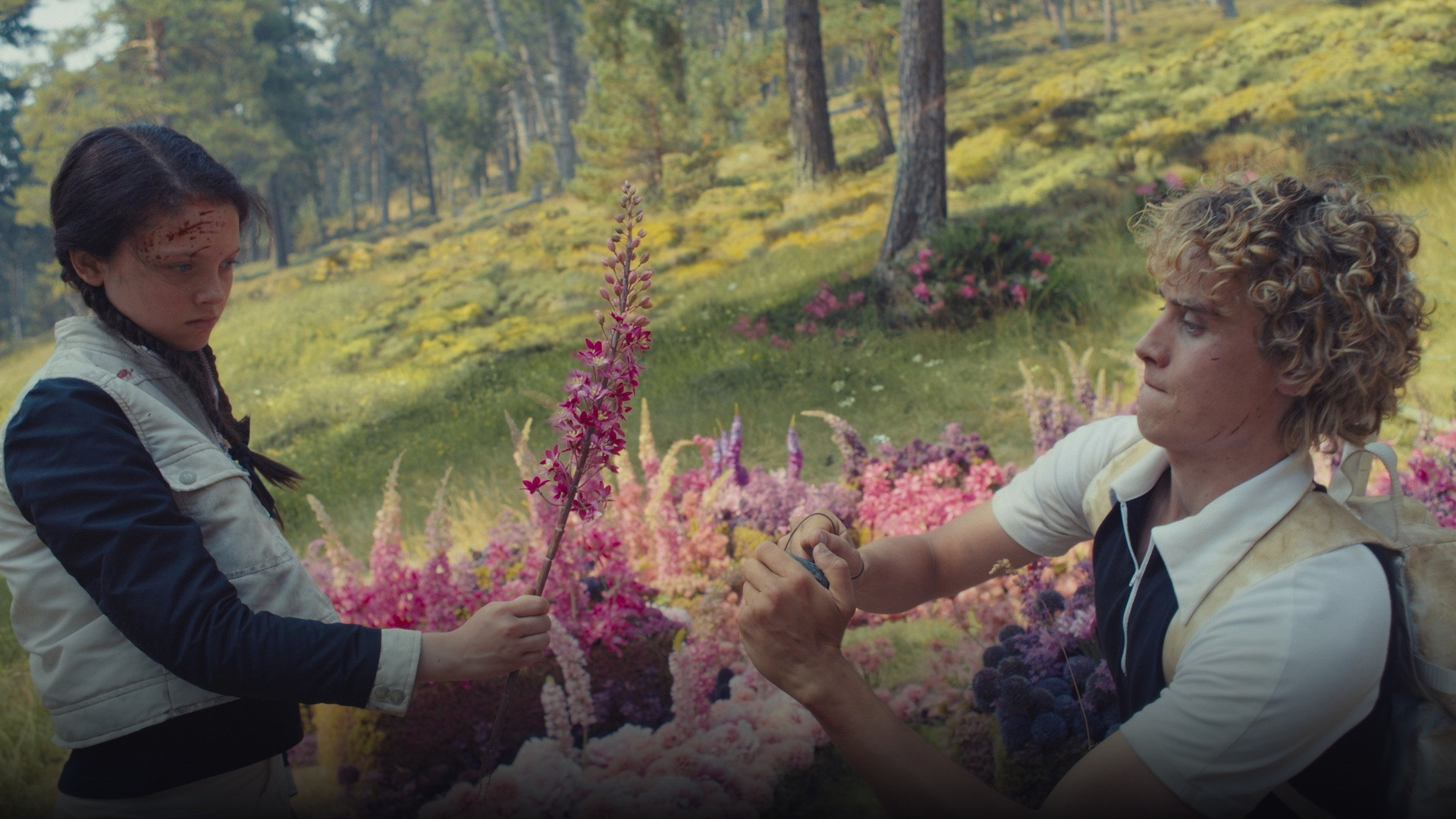 Golden Mockingjay emblem surrounded by blooming roses and thorns for Sunrise on the Reaping.