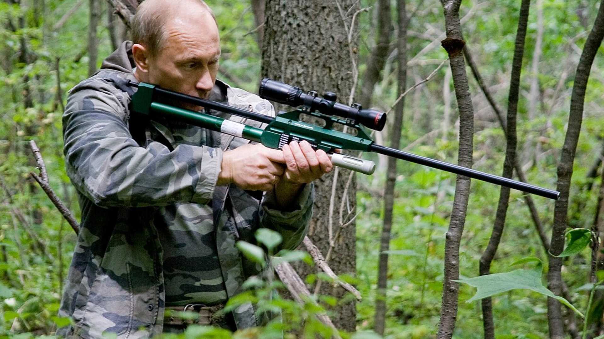 11. Tranquilized An Amur Tiger In 2008