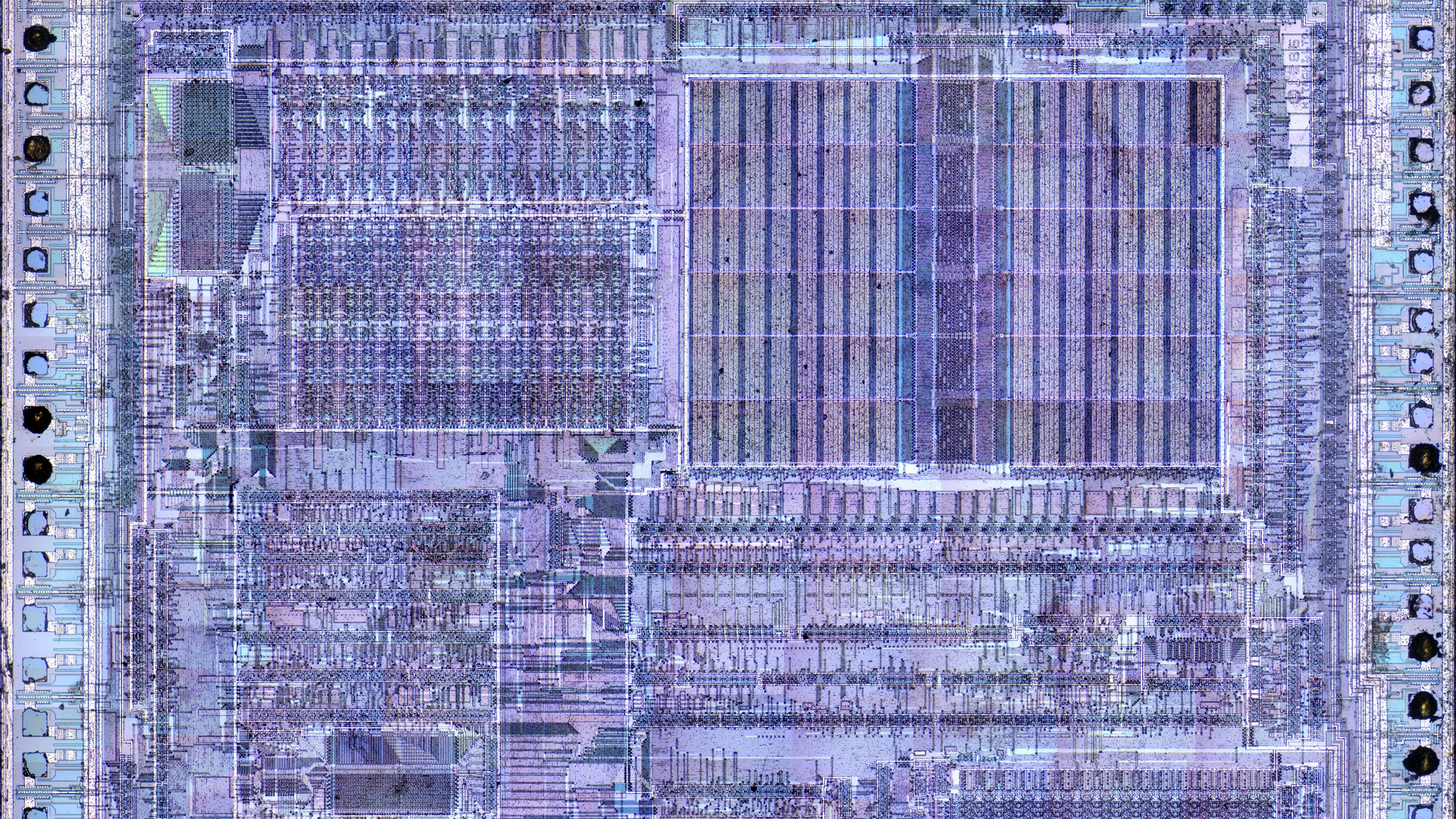 Scanning electron micrograph of nanoscale silicon transistor gates on an integrated microchip.
