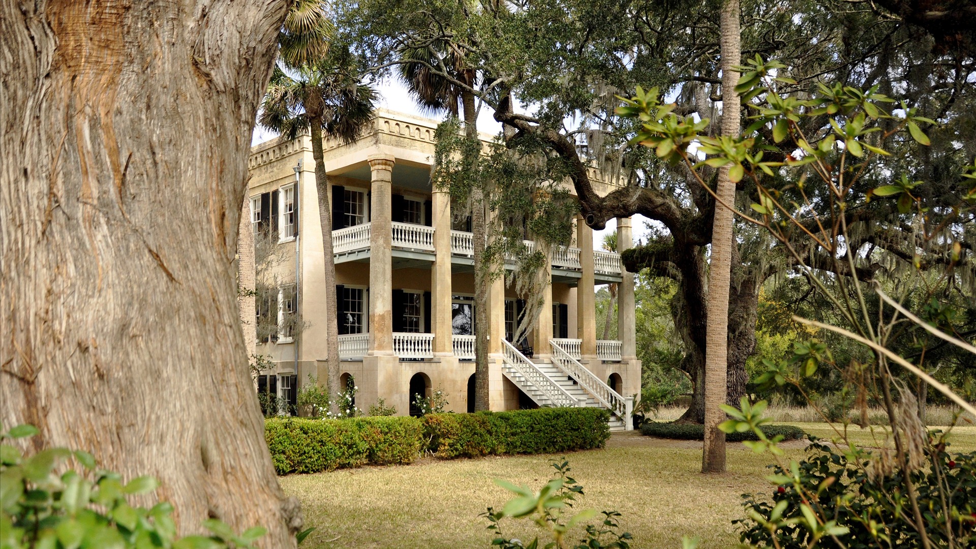 Antebellum Joseph Johnson House framed by live oaks and palmettos in Beaufort, South Carolina
