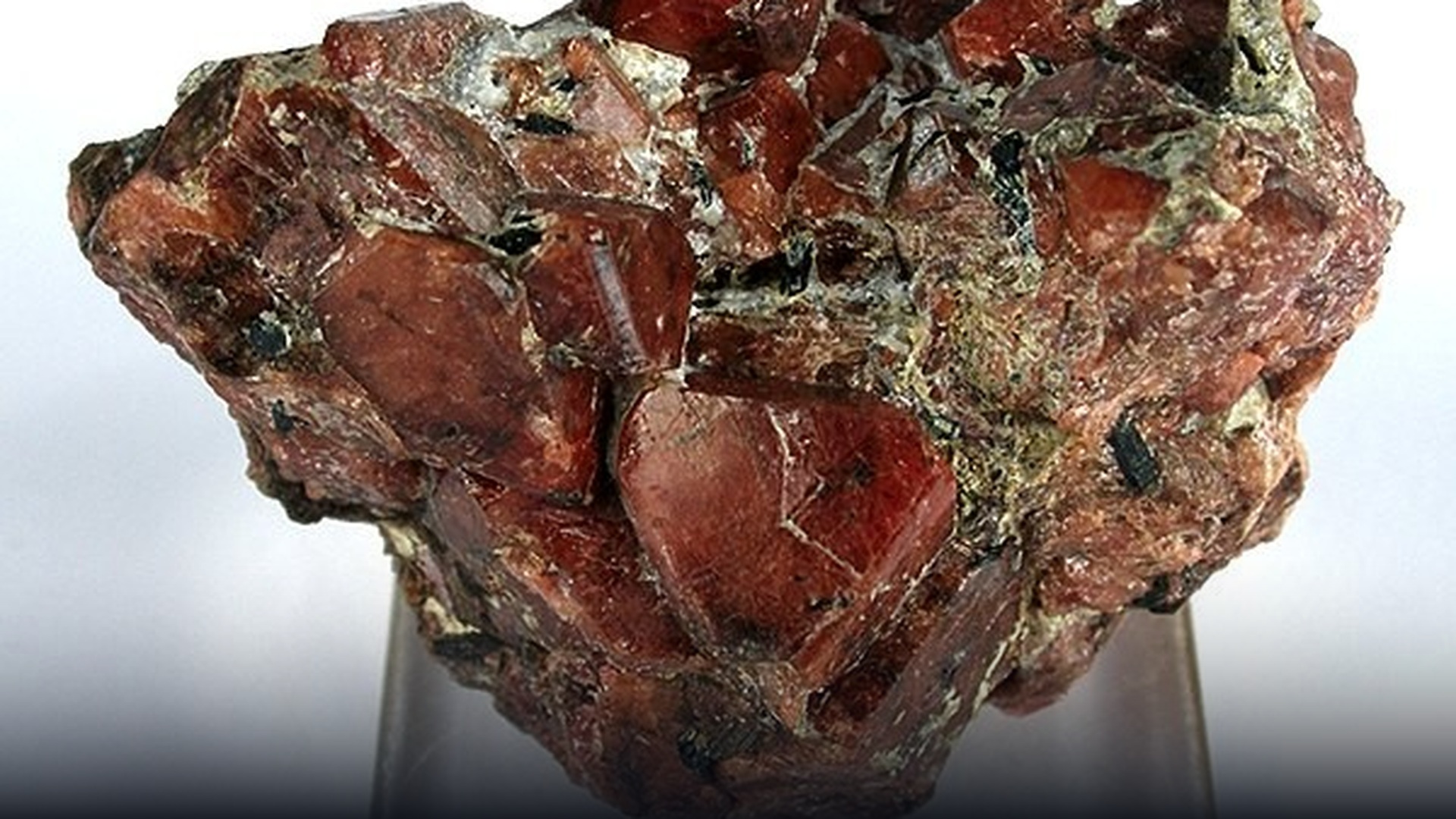 Crimson red eudialyte rare earth mineral in host rock.
