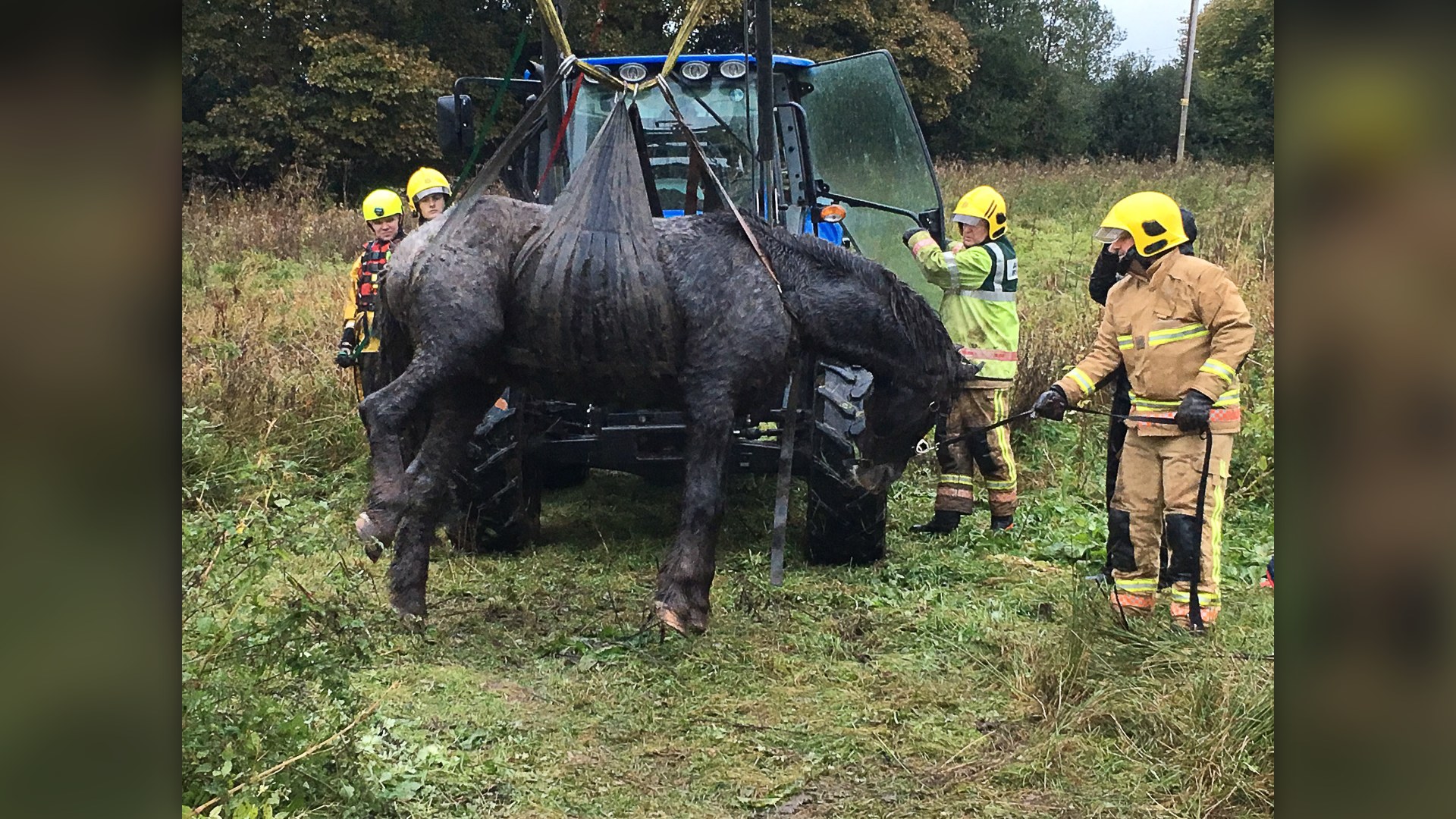 10. Technical Ice & Ditch Rescue (2019)
