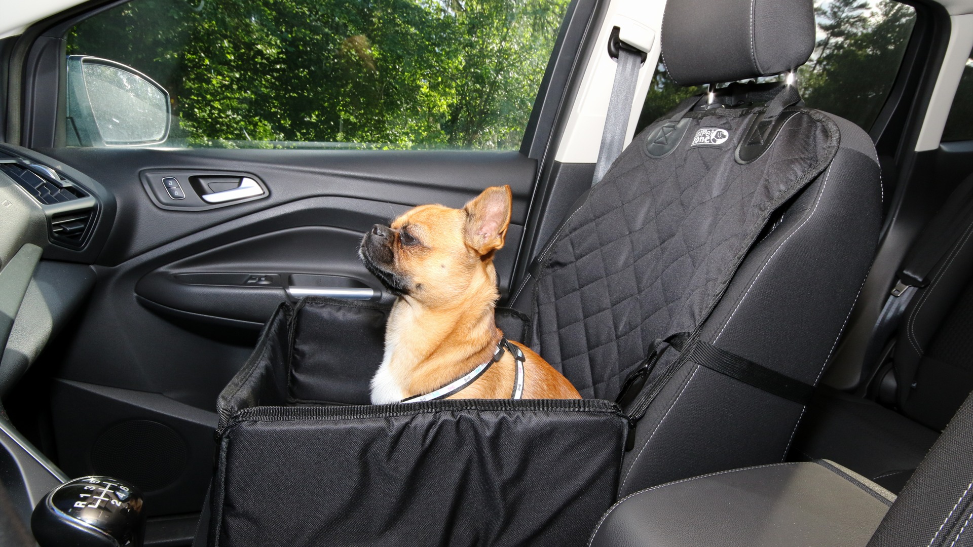 12. Crates, Carriers And Vehicle Harnesses