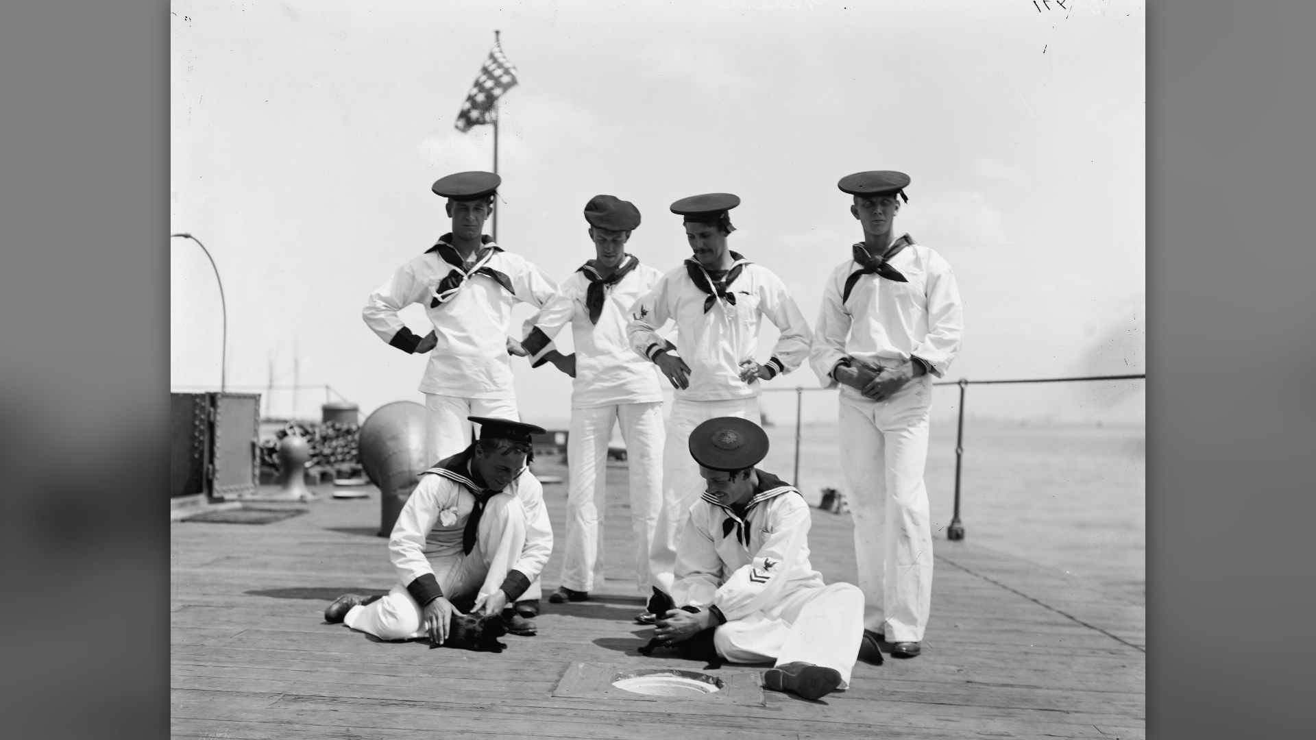 Sailors holding ship mascot cats on the deck of USS Nahant in 1898