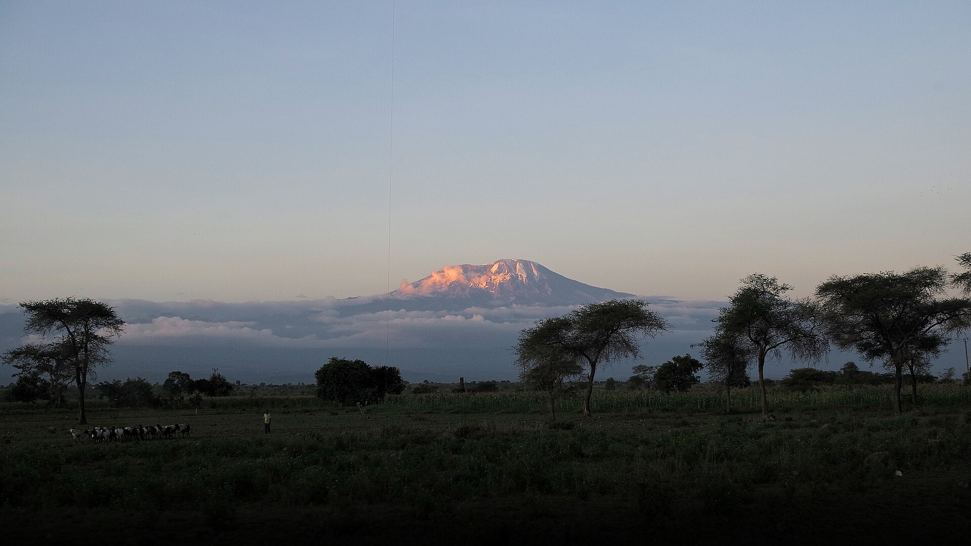 Iconic snow-dusted peak of Mount Kilimanjaro rising above clouds at golden sunset in Tanzania.