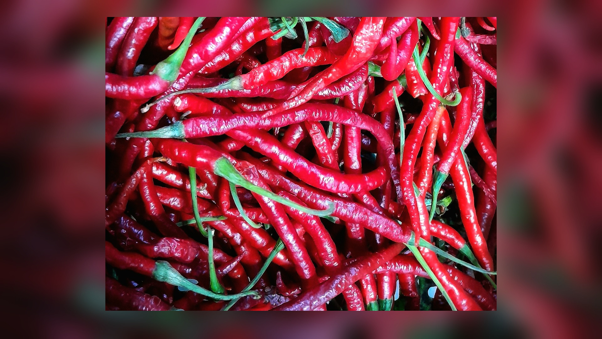 Crisp vibrant red chili peppers arranged on a rustic wooden kitchen surface.