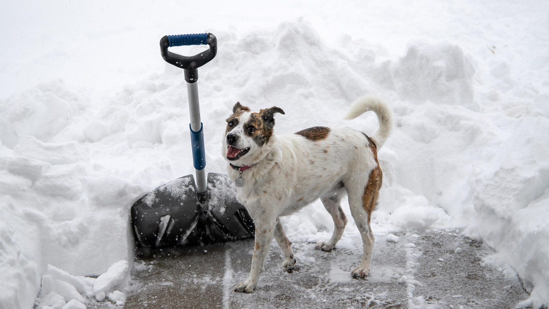 #10 Staging Ergonomic Snow Shovels By The Door