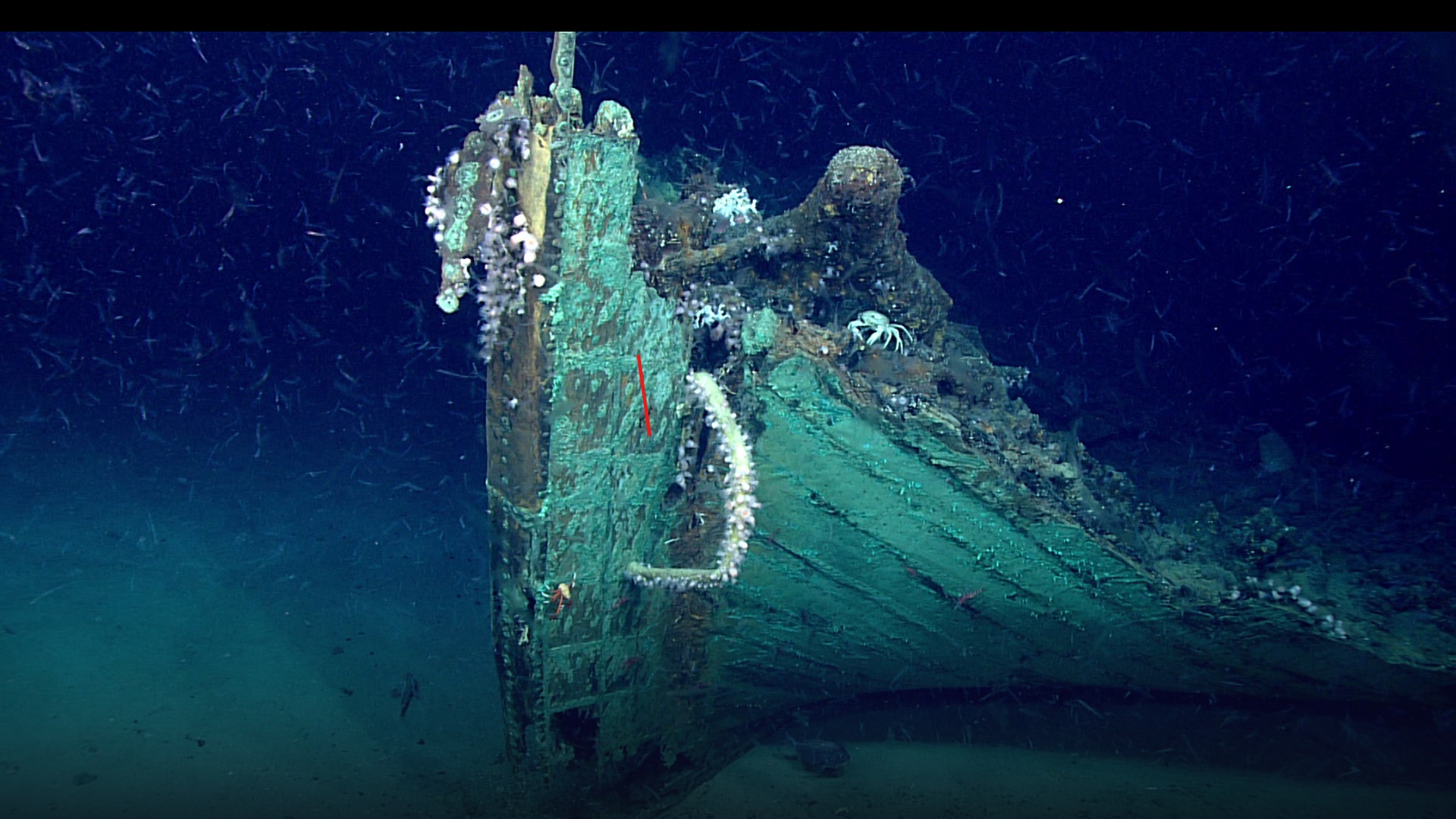 Deep sea ROV view of the bow and copper cladding of the 200-year-old shipwreck in the Gulf of Mexico.