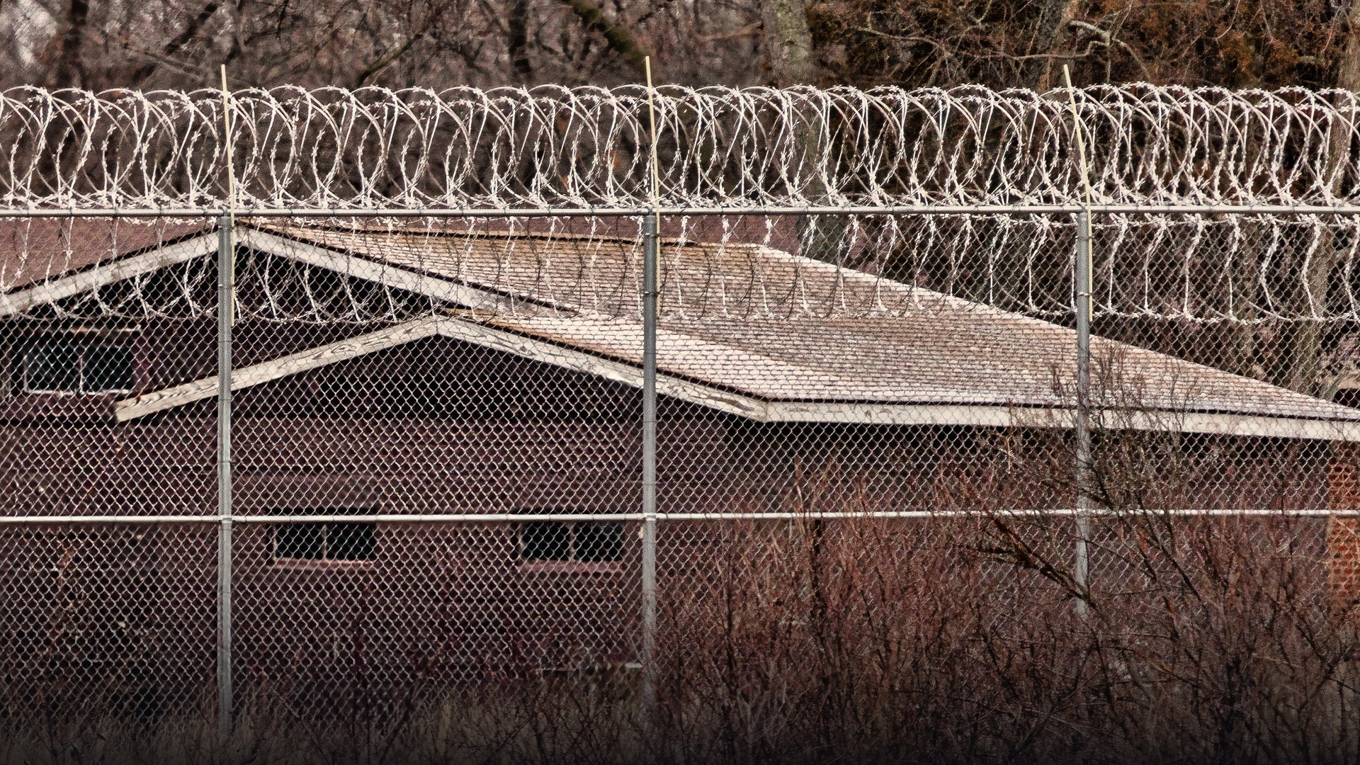 Heavy rolls of coiled razor barbed wire fence securing a maximum-security prison perimeter.