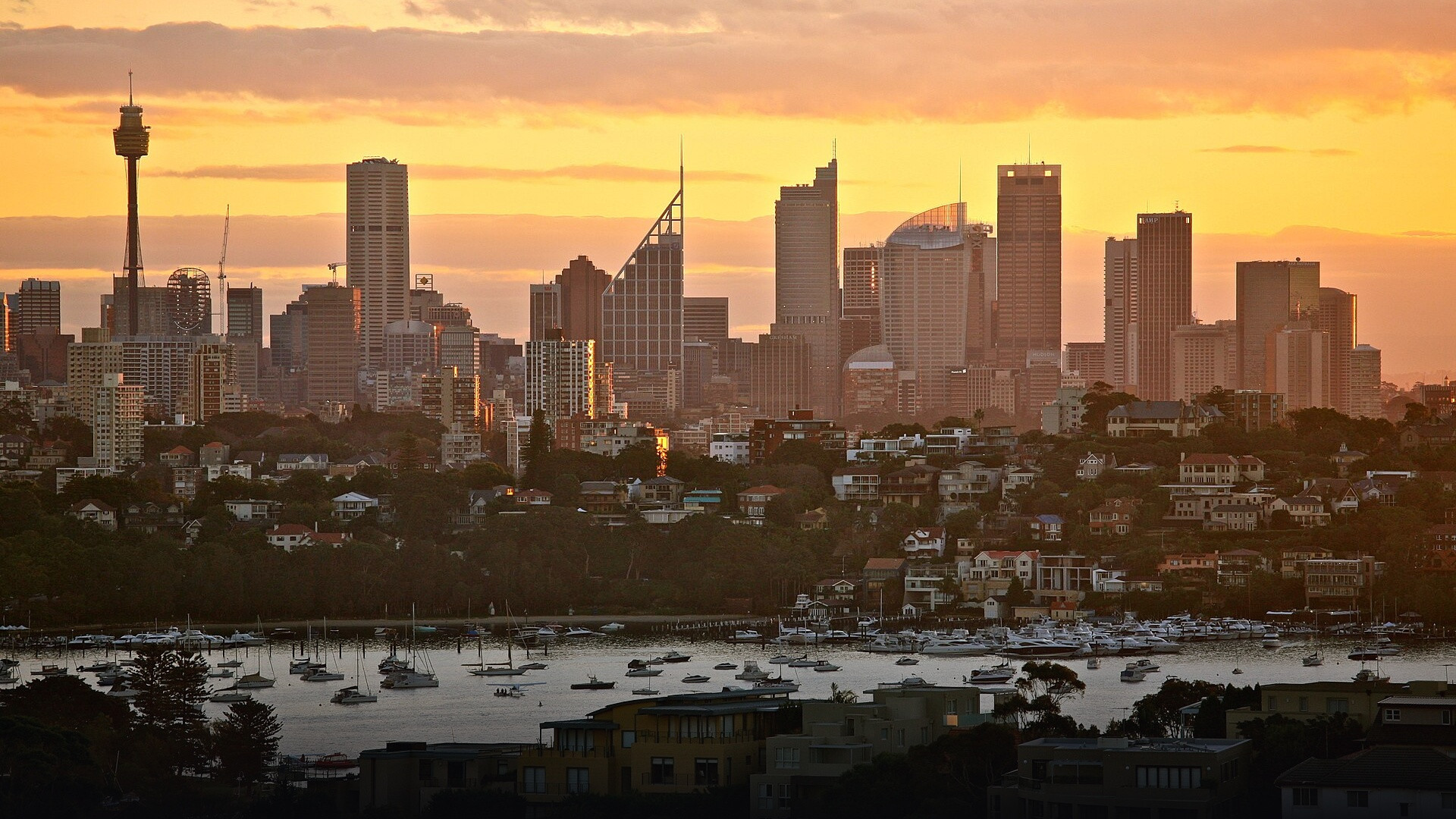 Sydney skyline at sunset with the harbour foreshore bathed in golden light.