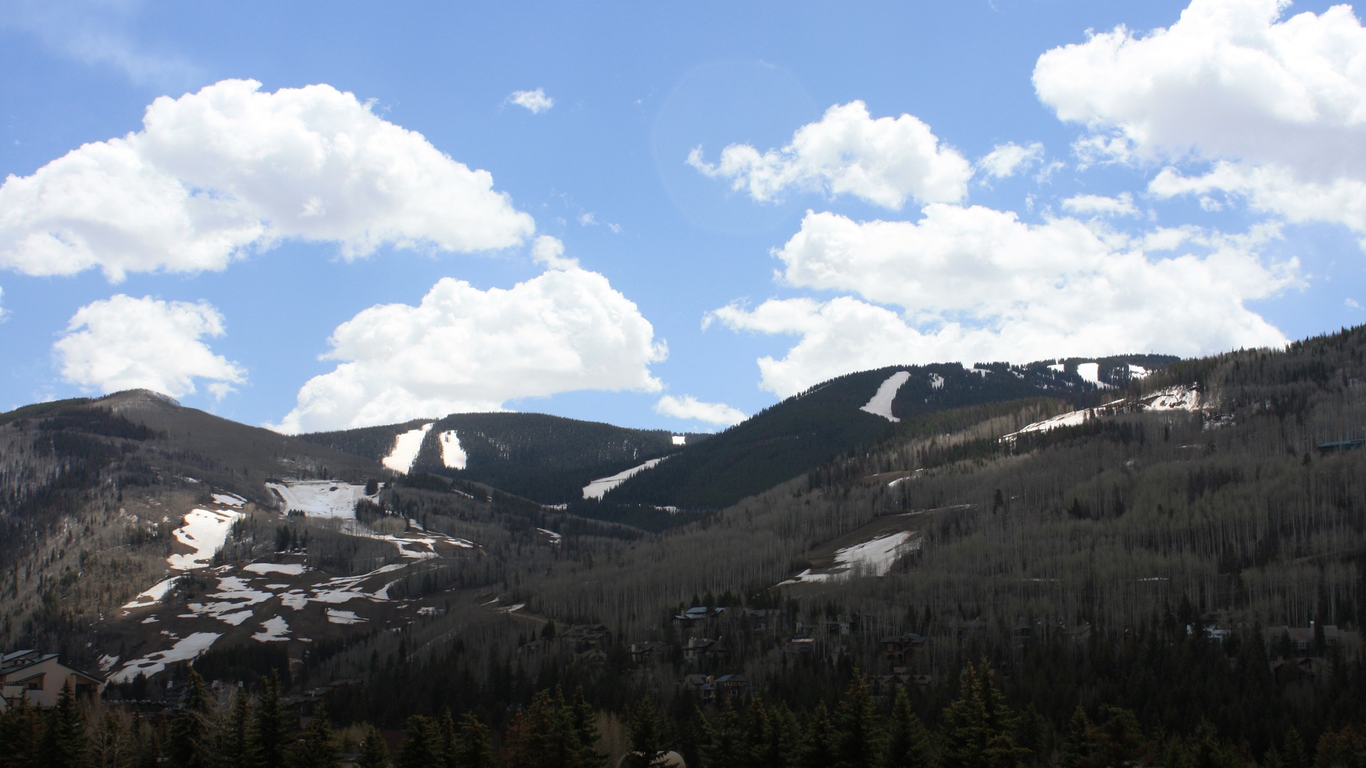 Snowy ski trails and forested mountain ridges at Vail Ski Resort in Colorado under bright winter skies.