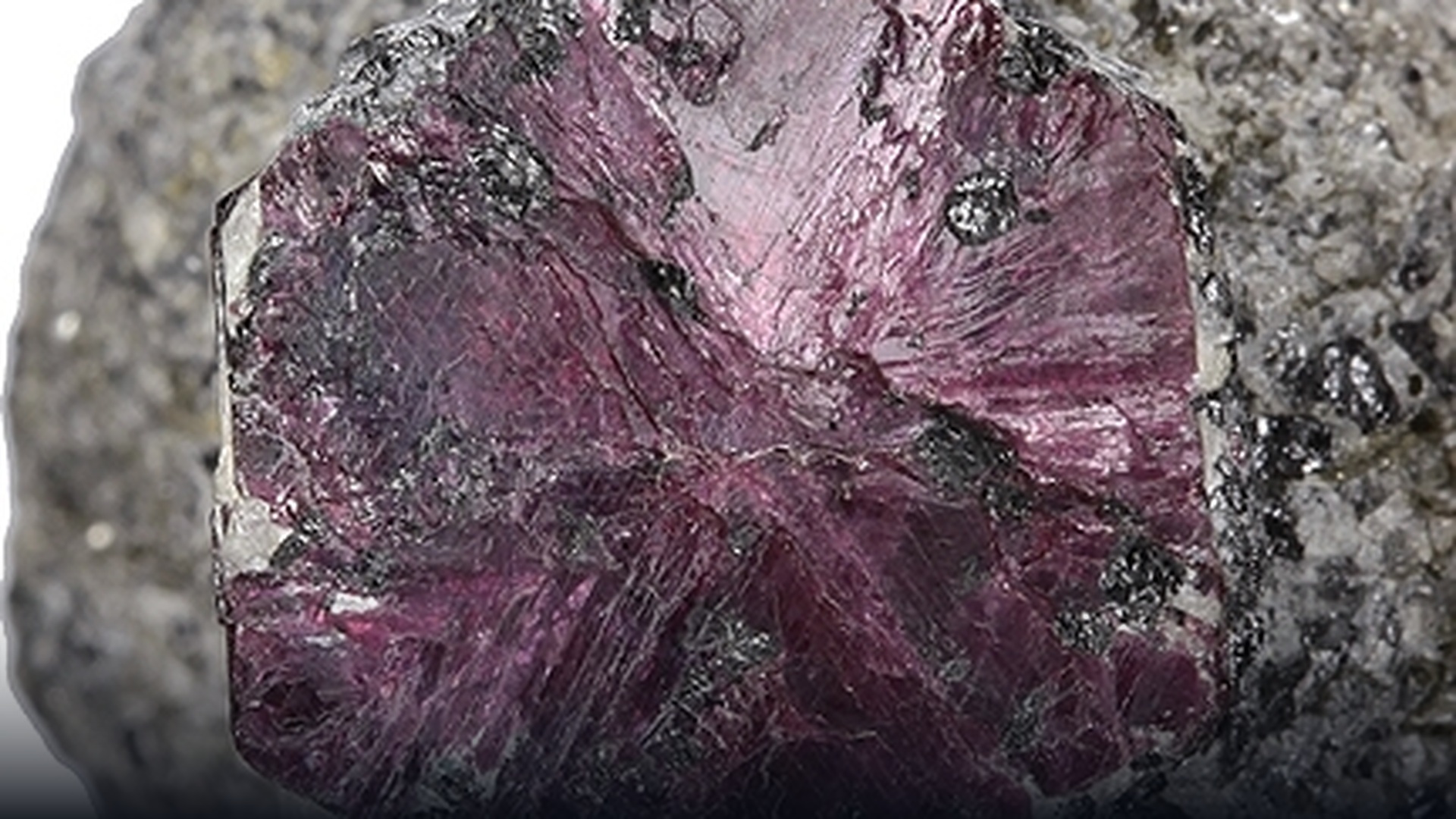 Natural crimson ruby corundum crystal in metamorphic matrix.