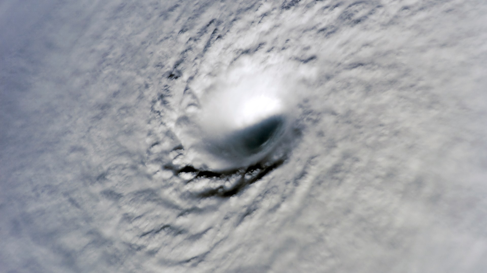 Astronaut photograph from ISS Expedition 12 looking down into Hurricane Wilma's eye on October 19, 2005.