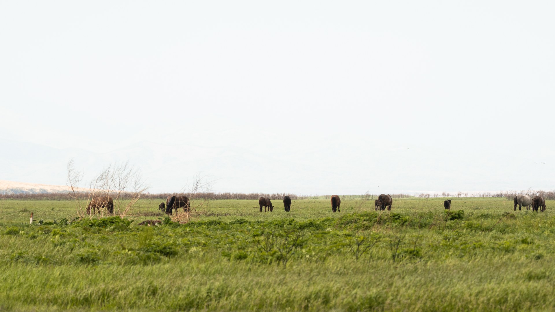 8. Alberta Flood Evacuation (2013)