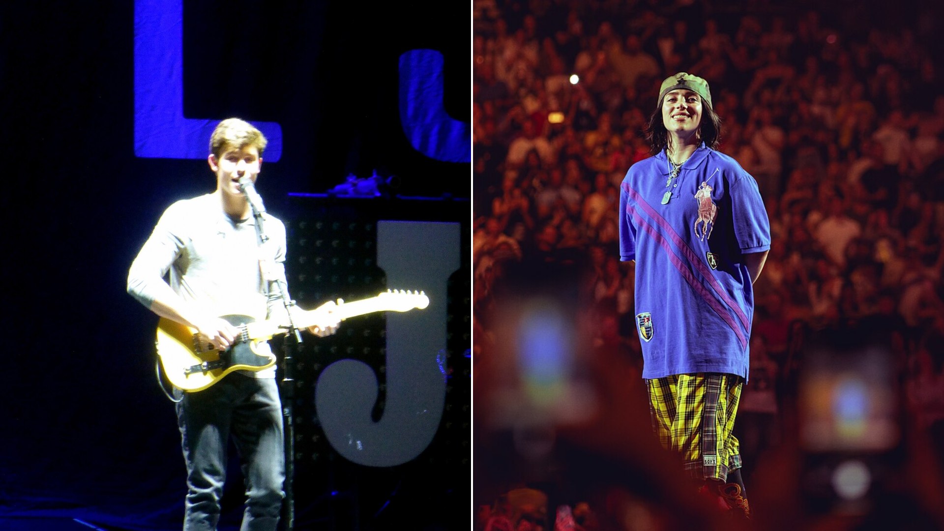 50/50 split of Shawn Mendes and Billie Eilish