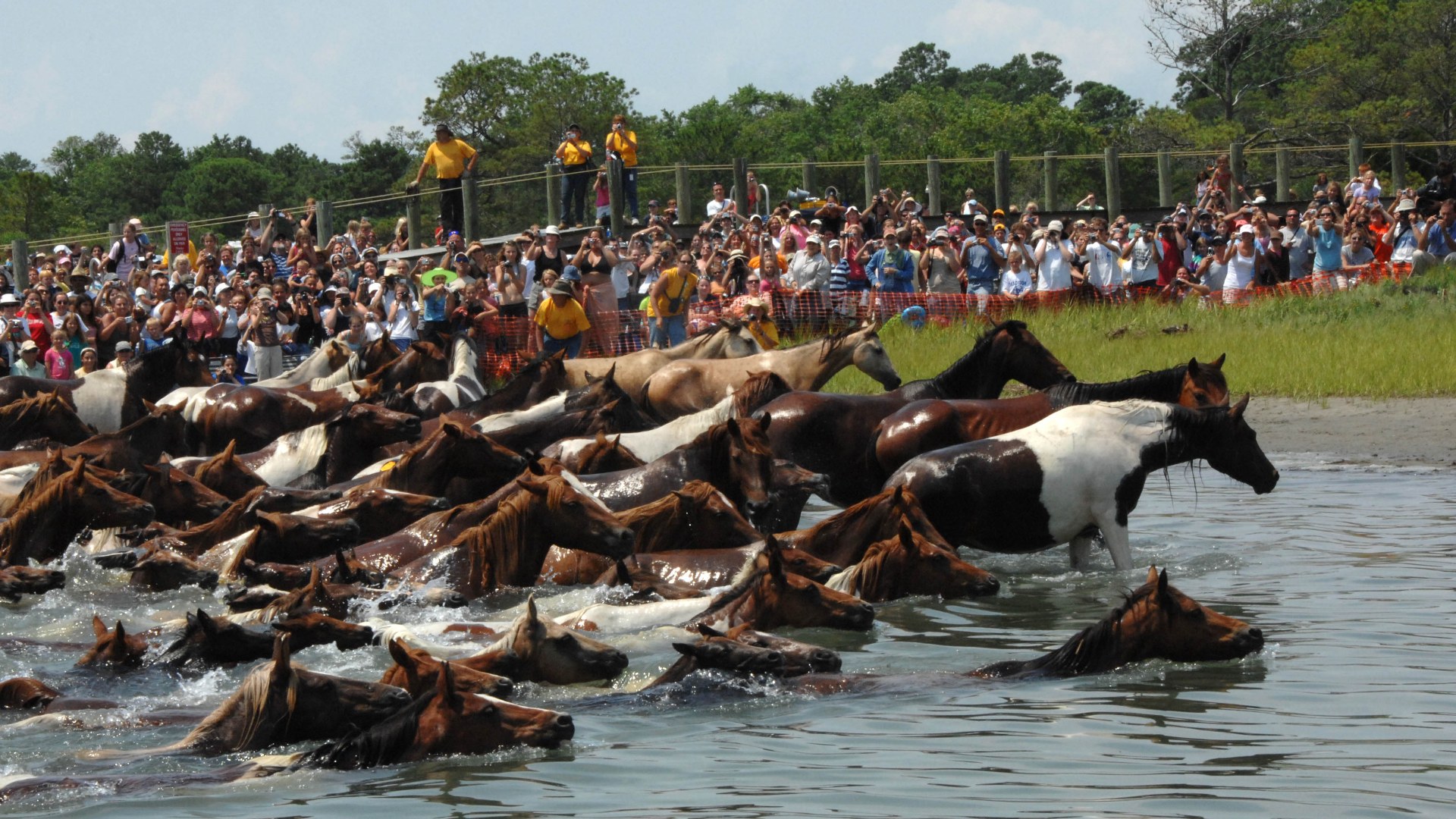 6. Chincoteague Storm Rescue (2007)