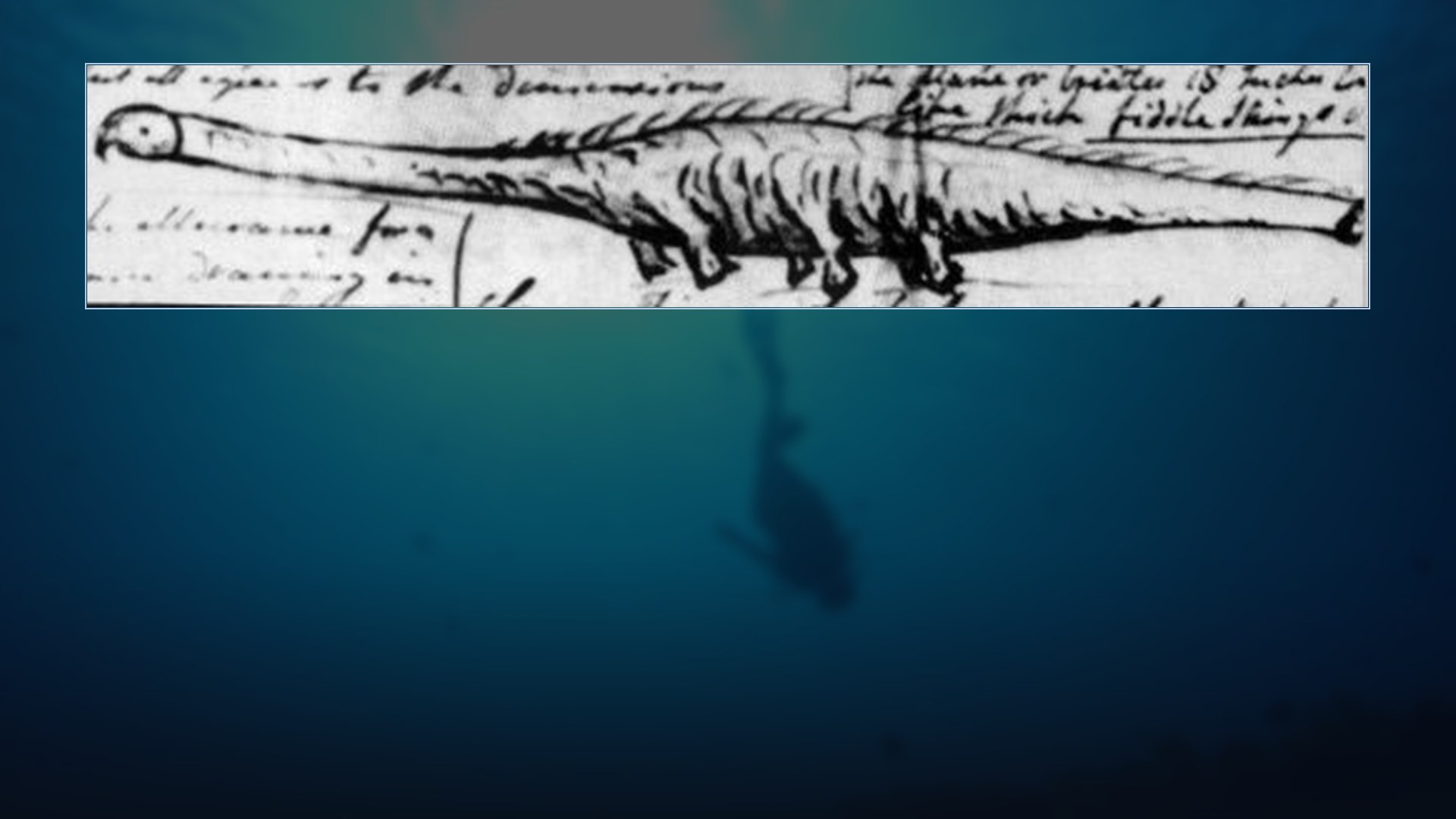 Historical 1808 scientific engraving of the Stronsay Beast sea creature carcass from Wernerian Natural History Society on deep ocean background.