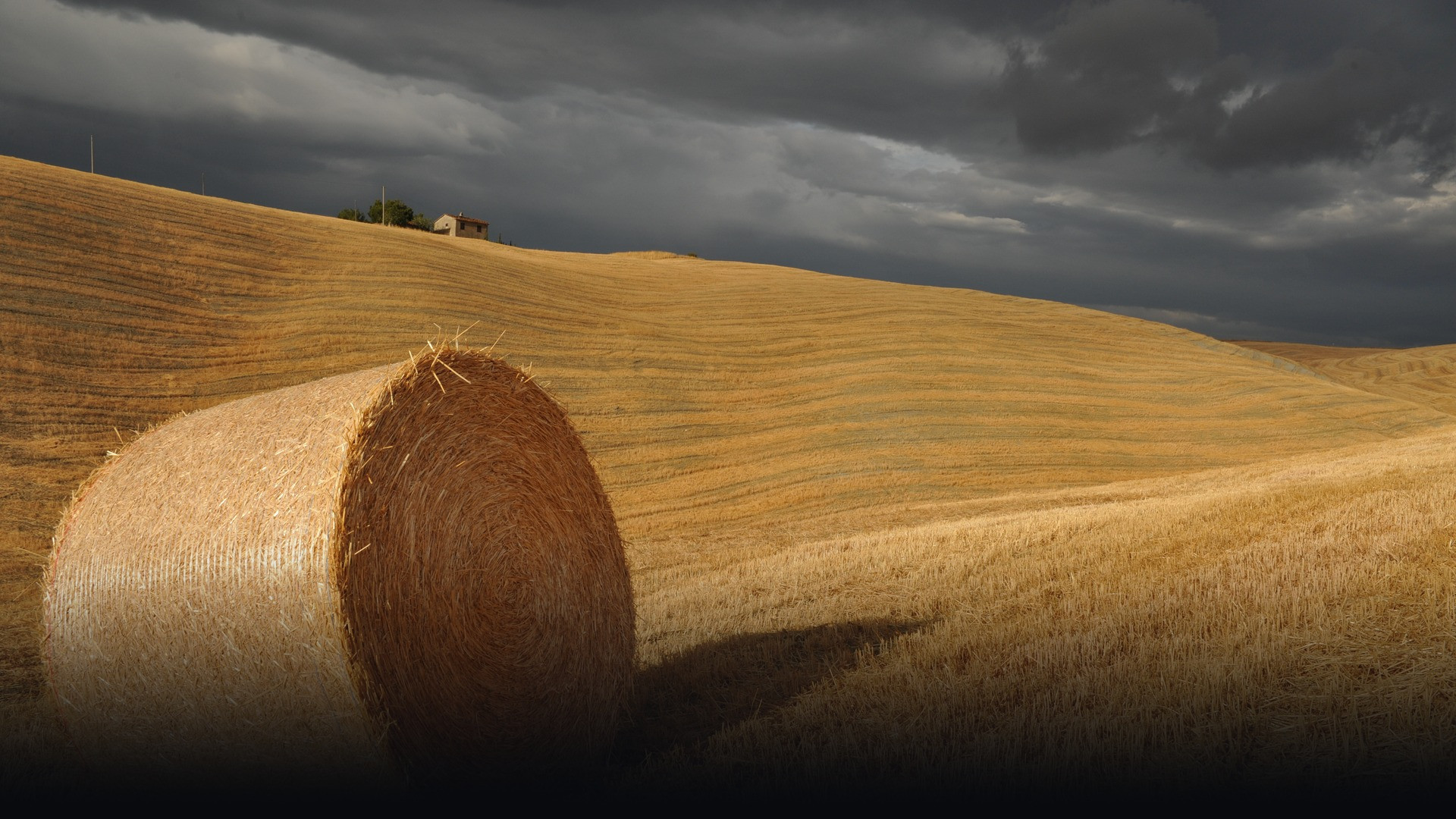 Golden rolling hills, rustic farmhouses, and cypress trees of Val d'Orcia in Tuscany.