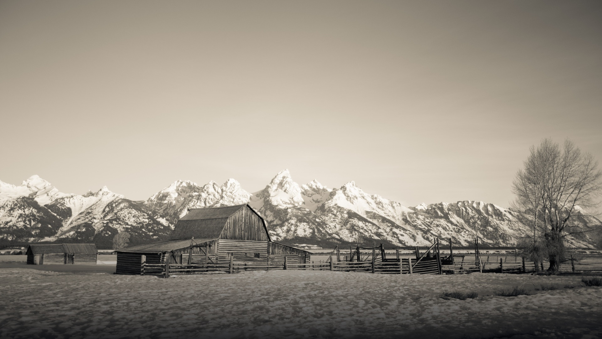 The historic wooden T.A. Moulton Barn in Grand Teton National Park under fresh falling snow.