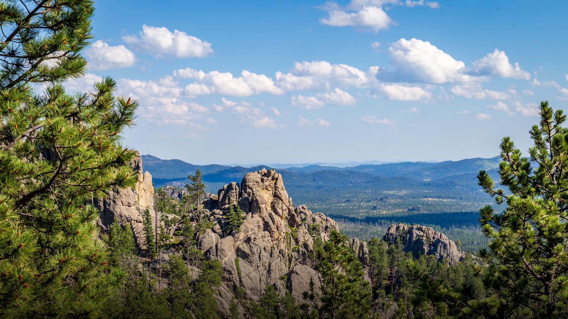 Dramatic granite spires of The Needles rock formation rising into the sky in Custer State Park in the Black Hills of South Dakota.